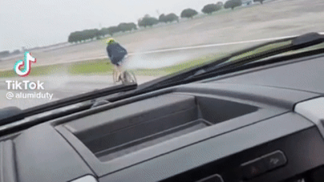 Driver's Sobbing TikTok Video After Car Crash Baffles Internet