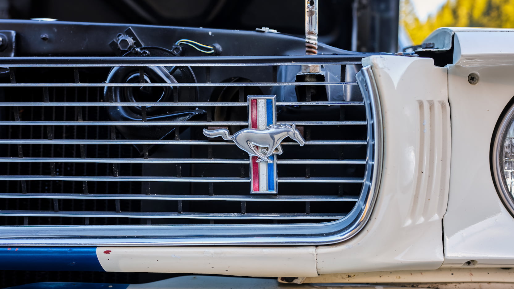 Injury Forces Original Owner To Sell 1966 Mustang Shelby GT350 At Auction