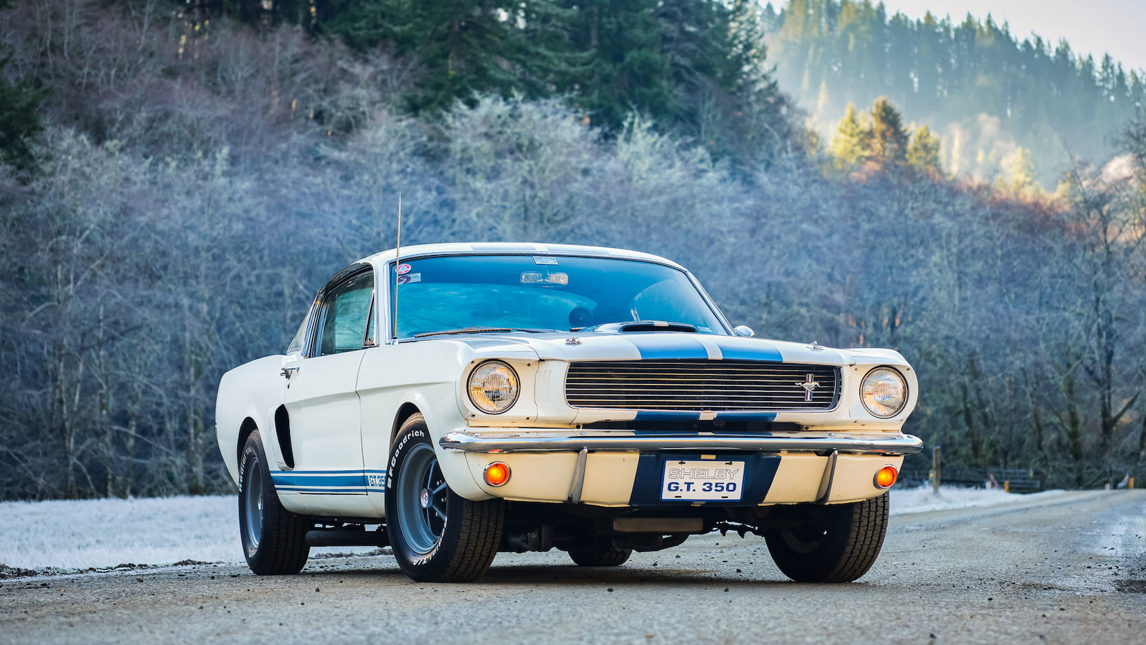 Injury Forces Original Owner To Sell 1966 Mustang Shelby GT350 At Auction