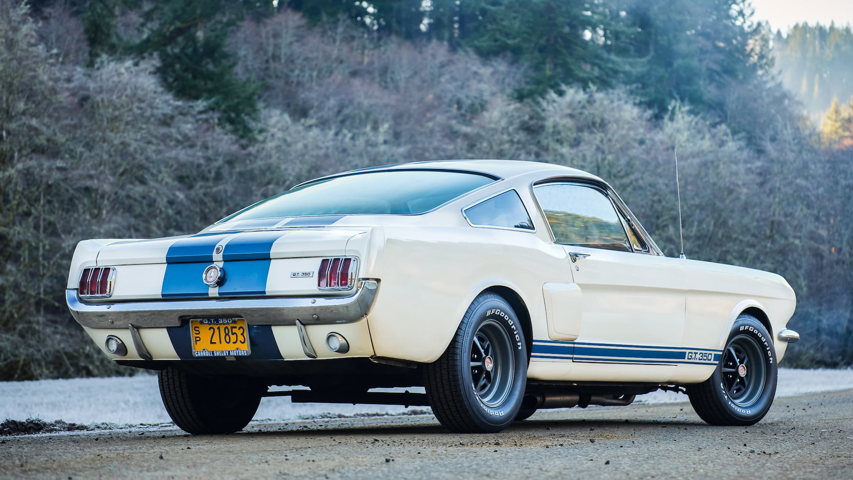 Injury Forces Original Owner To Sell 1966 Mustang Shelby GT350 At Auction