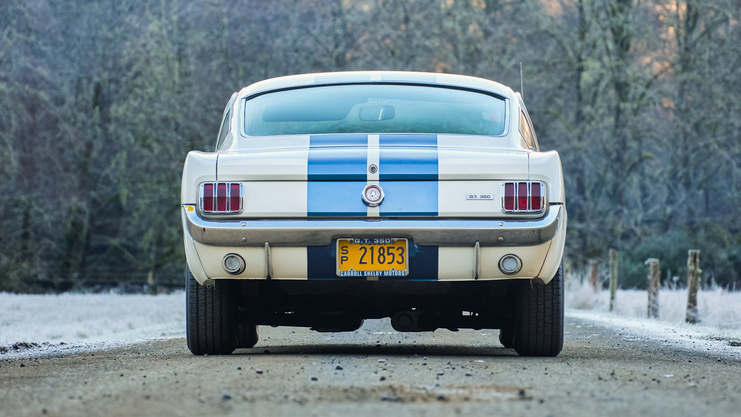 Injury Forces Original Owner To Sell 1966 Mustang Shelby GT350 At Auction
