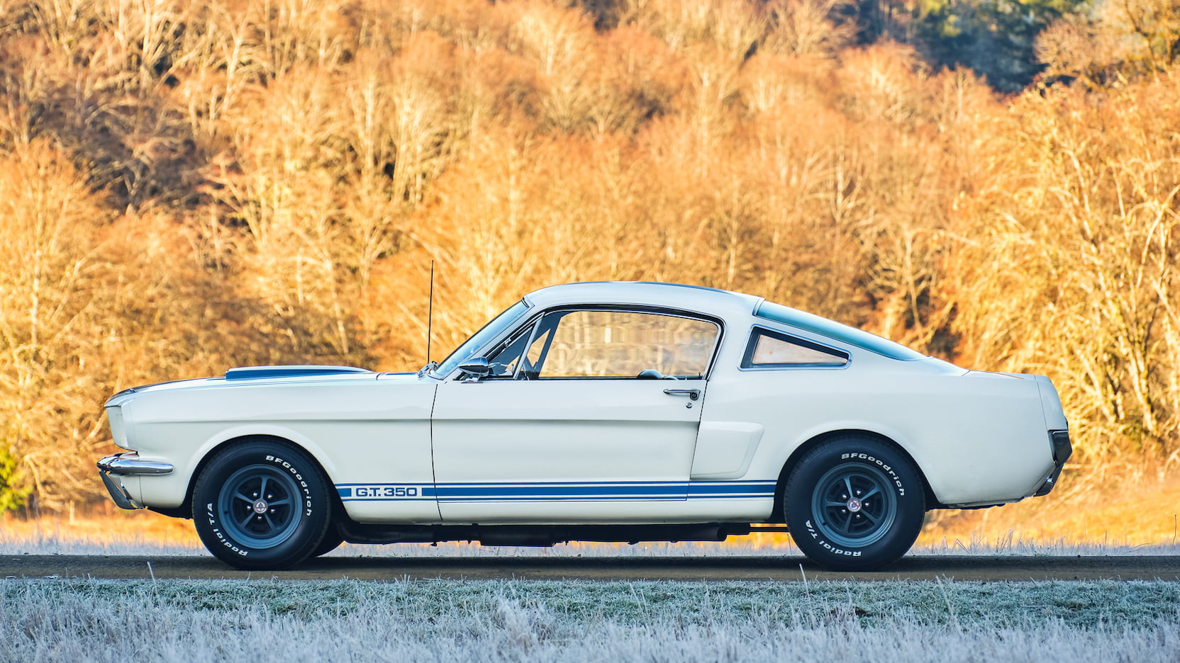 Injury Forces Original Owner To Sell 1966 Mustang Shelby GT350 At Auction