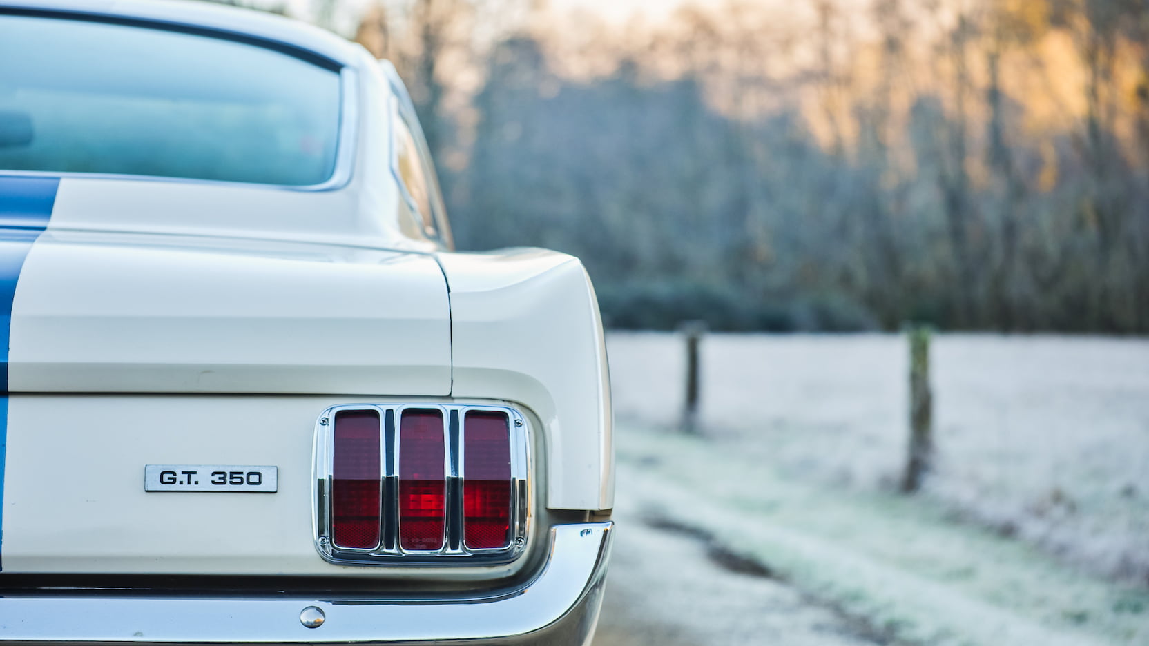 Injury Forces Original Owner To Sell 1966 Mustang Shelby GT350 At Auction