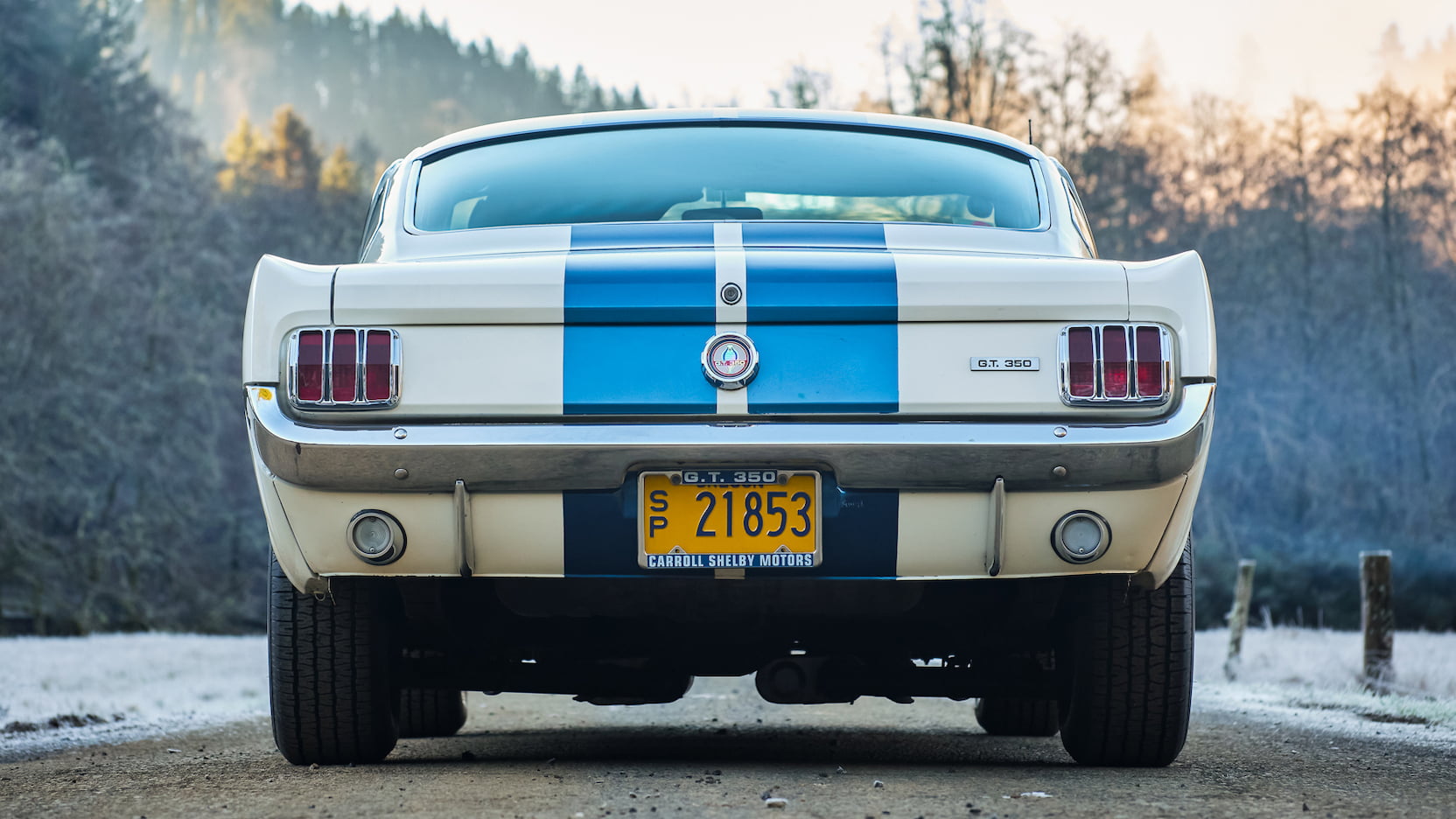 Injury Forces Original Owner To Sell 1966 Mustang Shelby GT350 At Auction