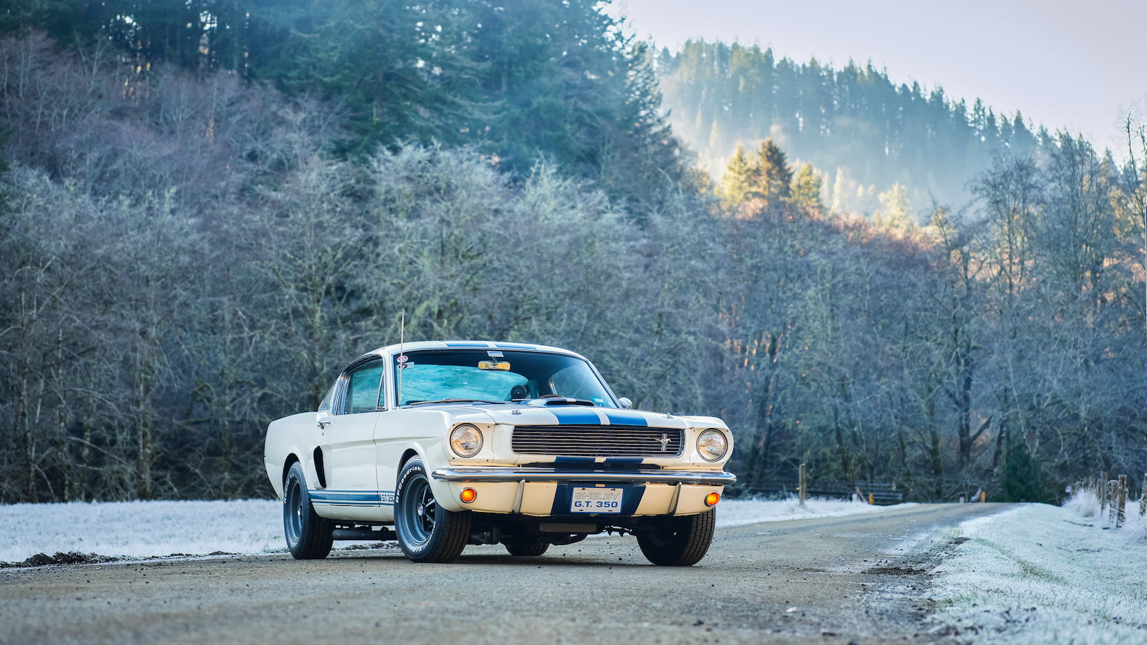 Injury Forces Original Owner To Sell 1966 Mustang Shelby GT350 At Auction