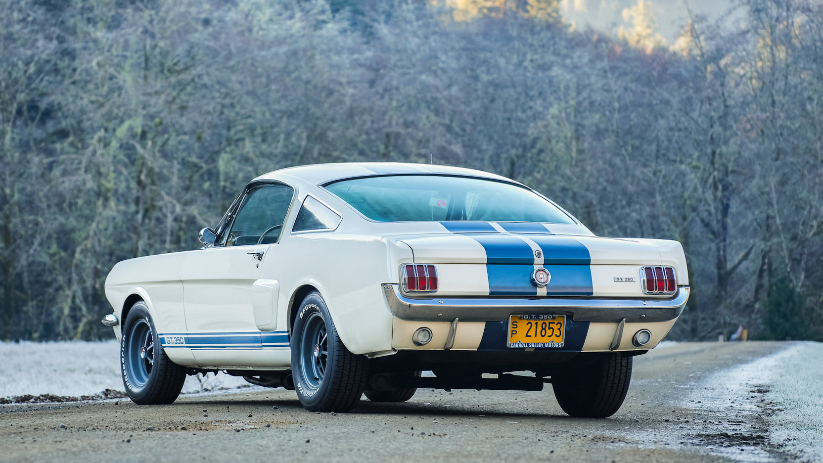 Injury Forces Original Owner To Sell 1966 Mustang Shelby GT350 At Auction