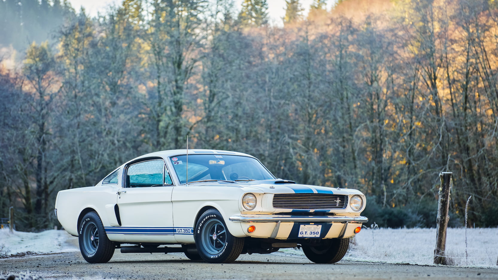 Injury Forces Original Owner To Sell 1966 Mustang Shelby GT350 At Auction