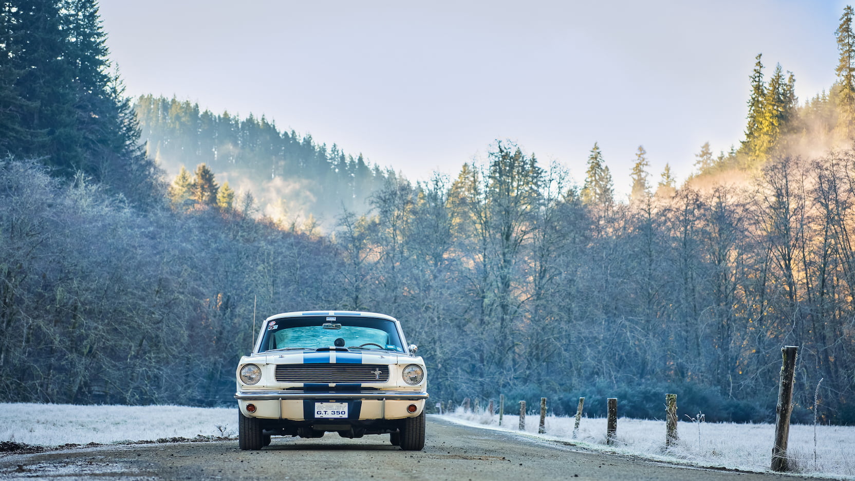 Injury Forces Original Owner To Sell 1966 Mustang Shelby GT350 At Auction