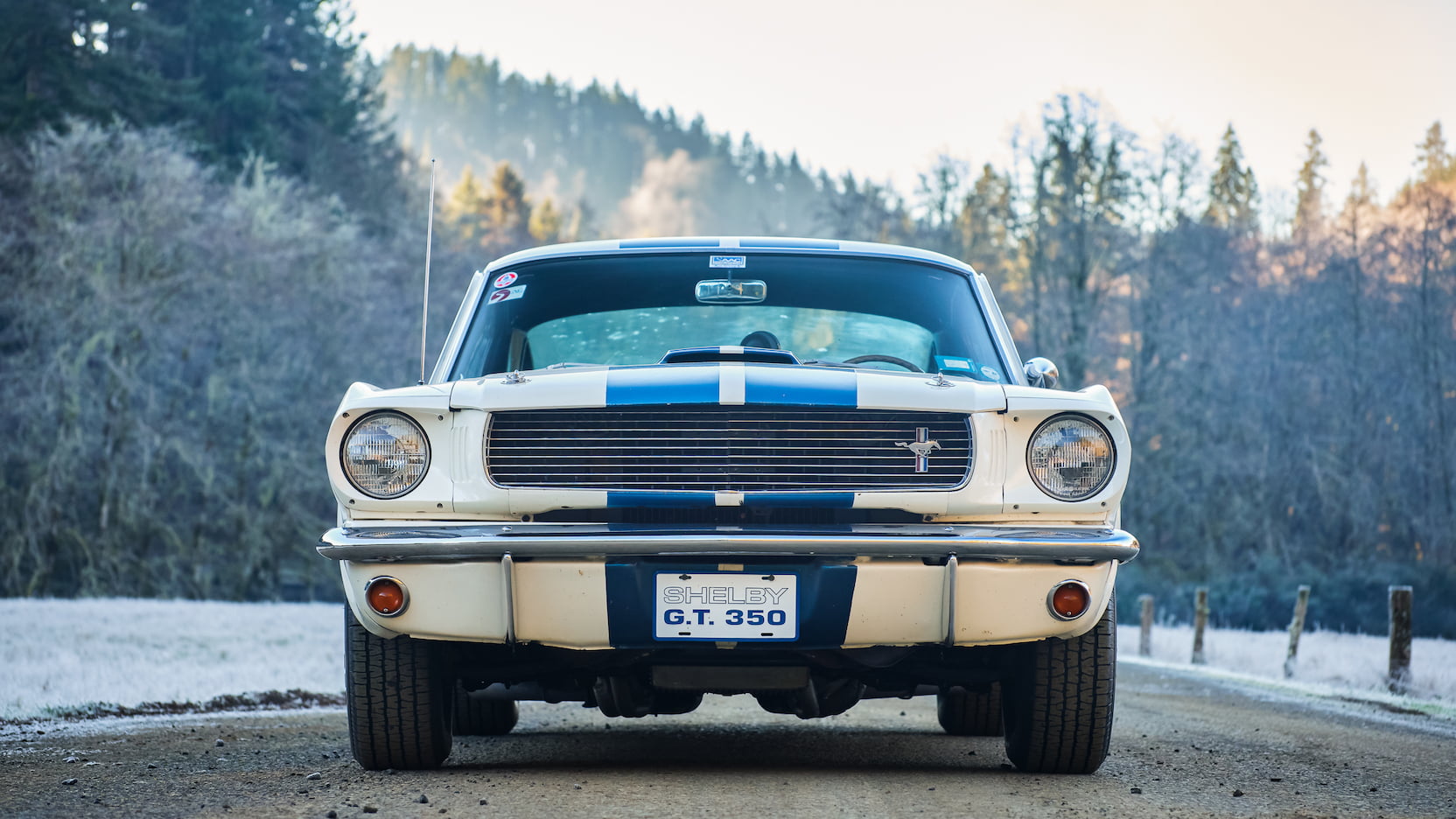 Injury Forces Original Owner To Sell 1966 Mustang Shelby GT350 At Auction