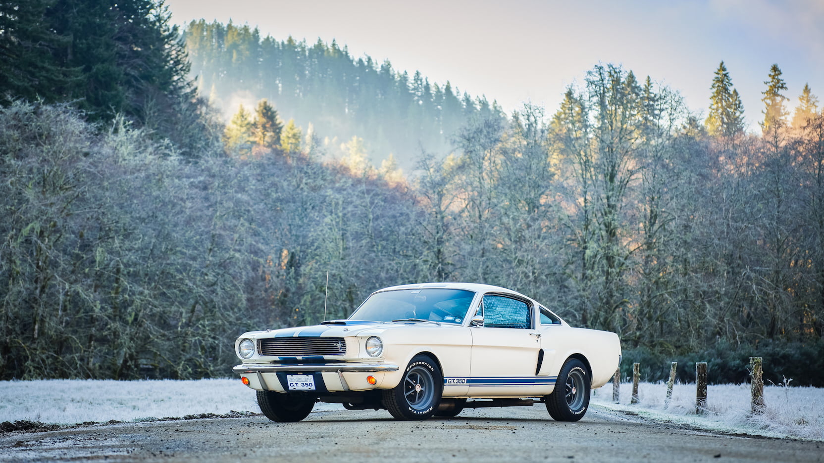 Injury Forces Original Owner To Sell 1966 Mustang Shelby GT350 At Auction