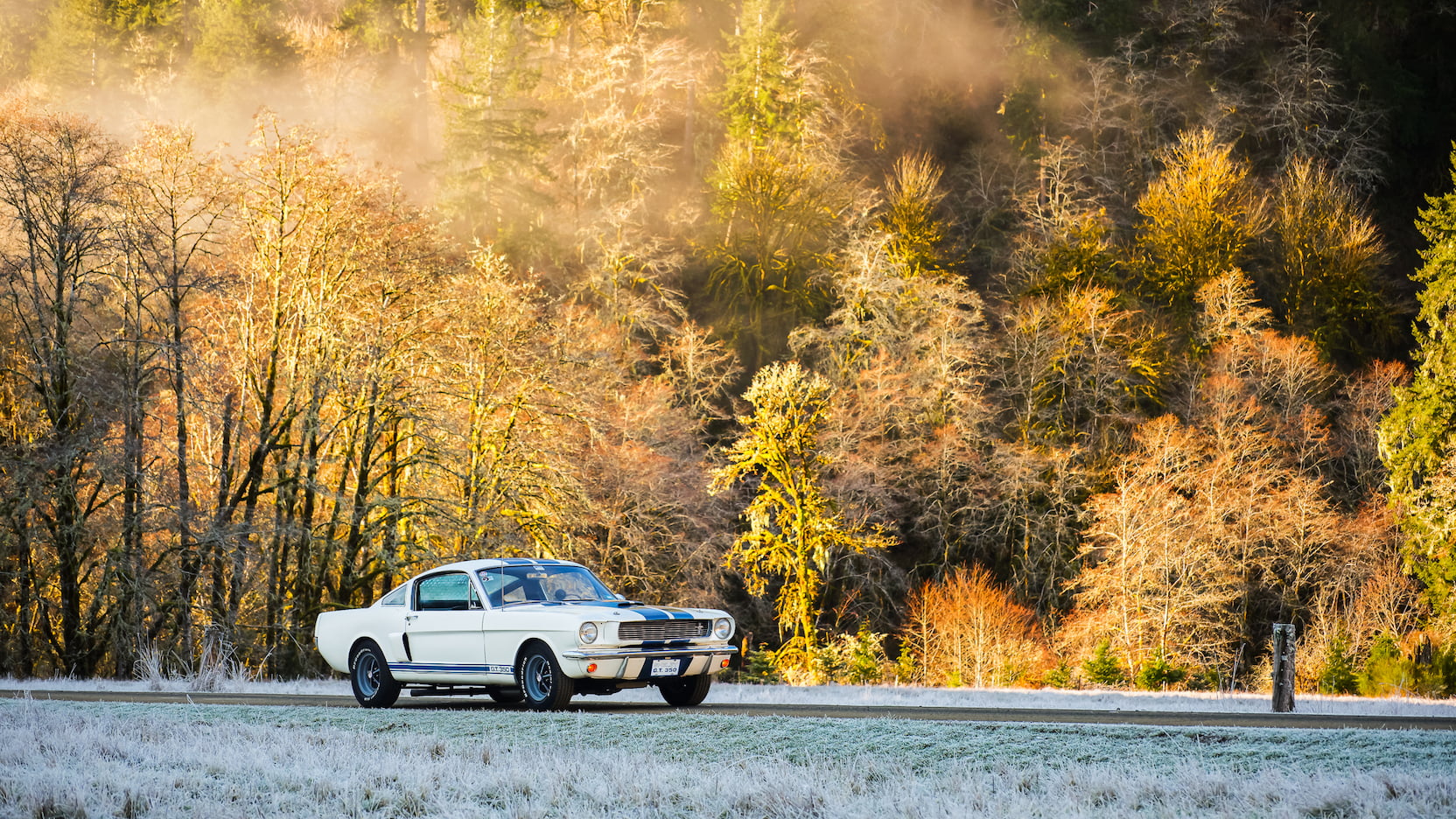 Injury Forces Original Owner To Sell 1966 Mustang Shelby GT350 At Auction