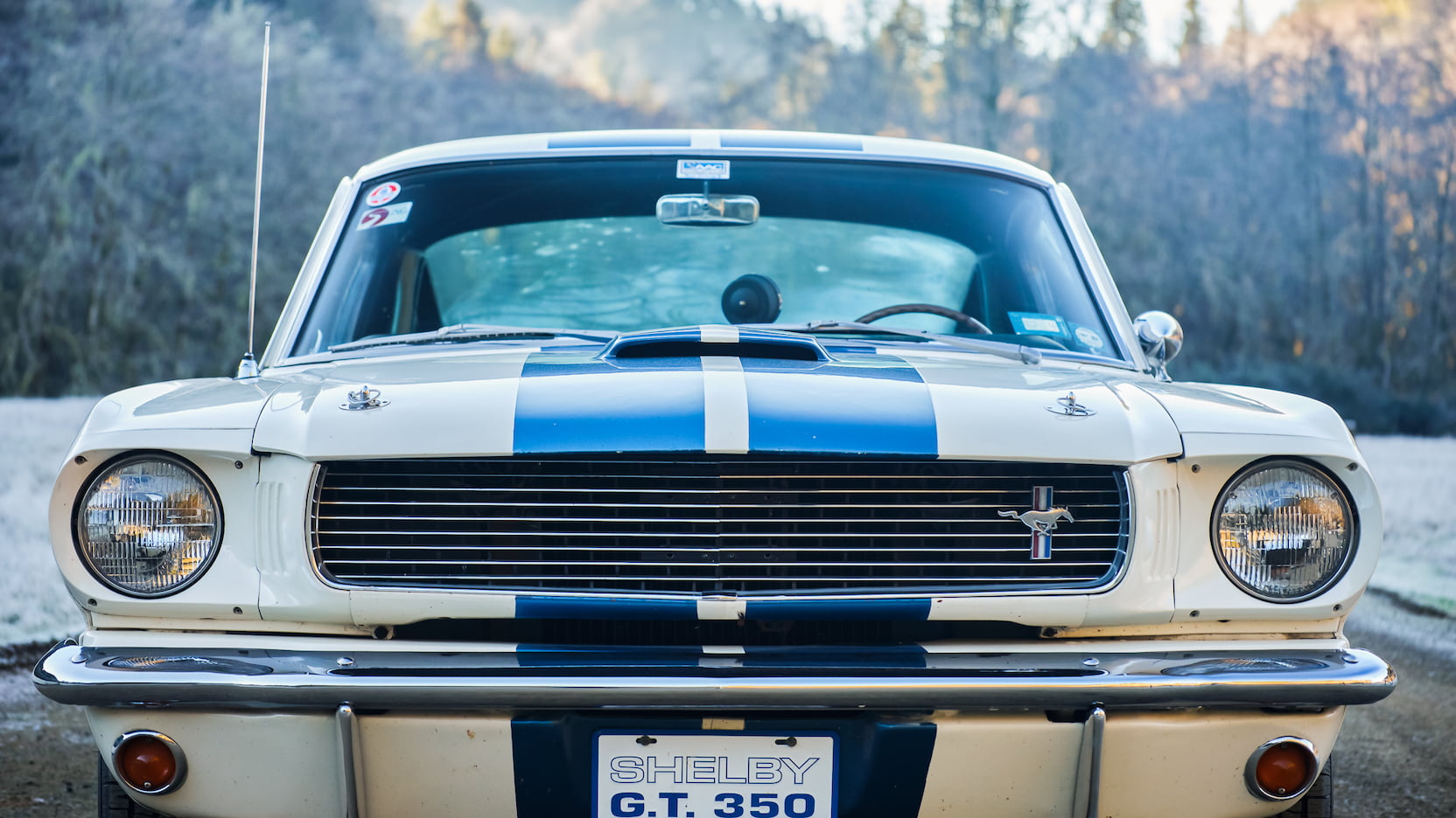 Injury Forces Original Owner To Sell 1966 Mustang Shelby GT350 At Auction