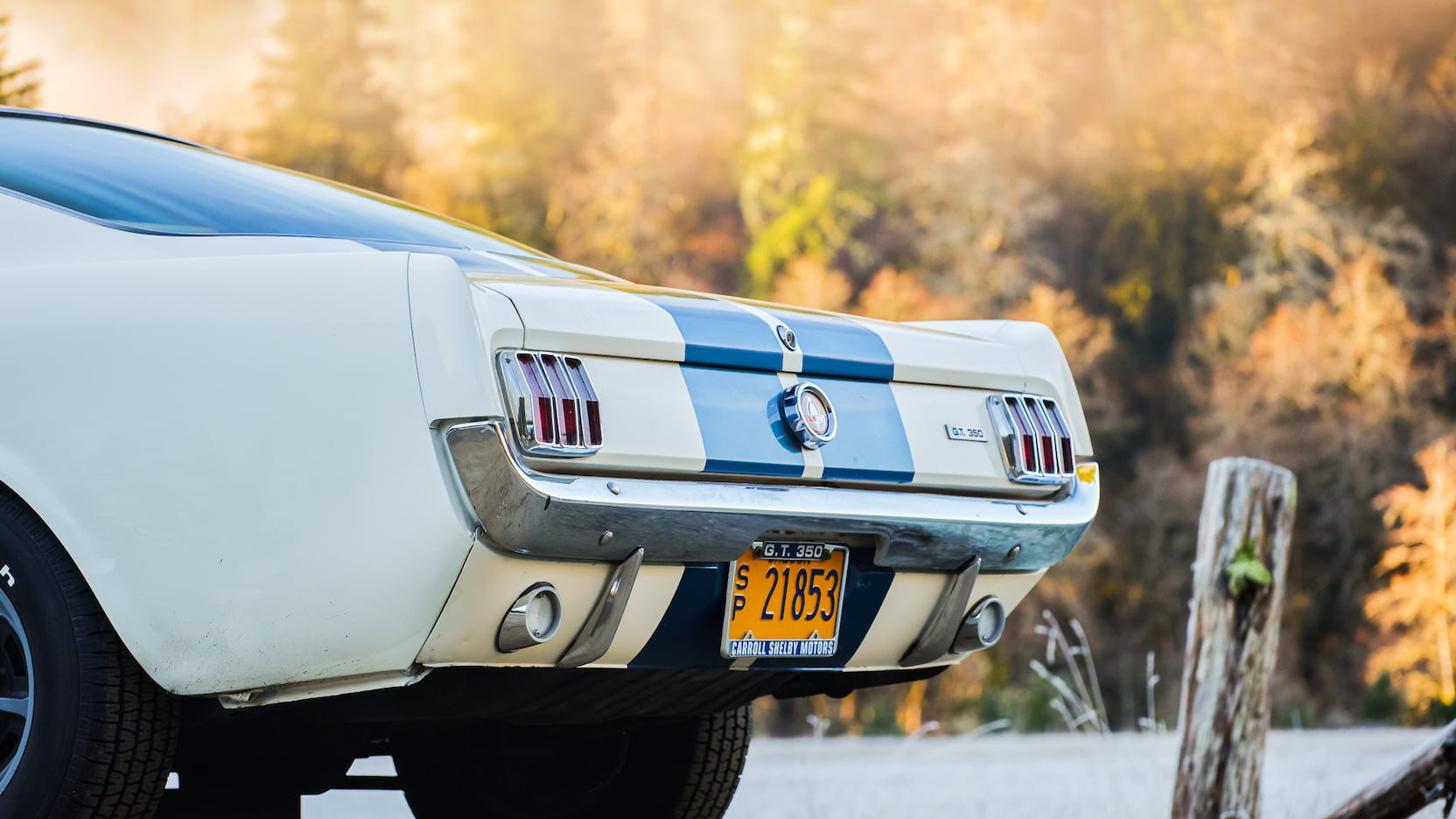 Injury Forces Original Owner To Sell 1966 Mustang Shelby GT350 At Auction