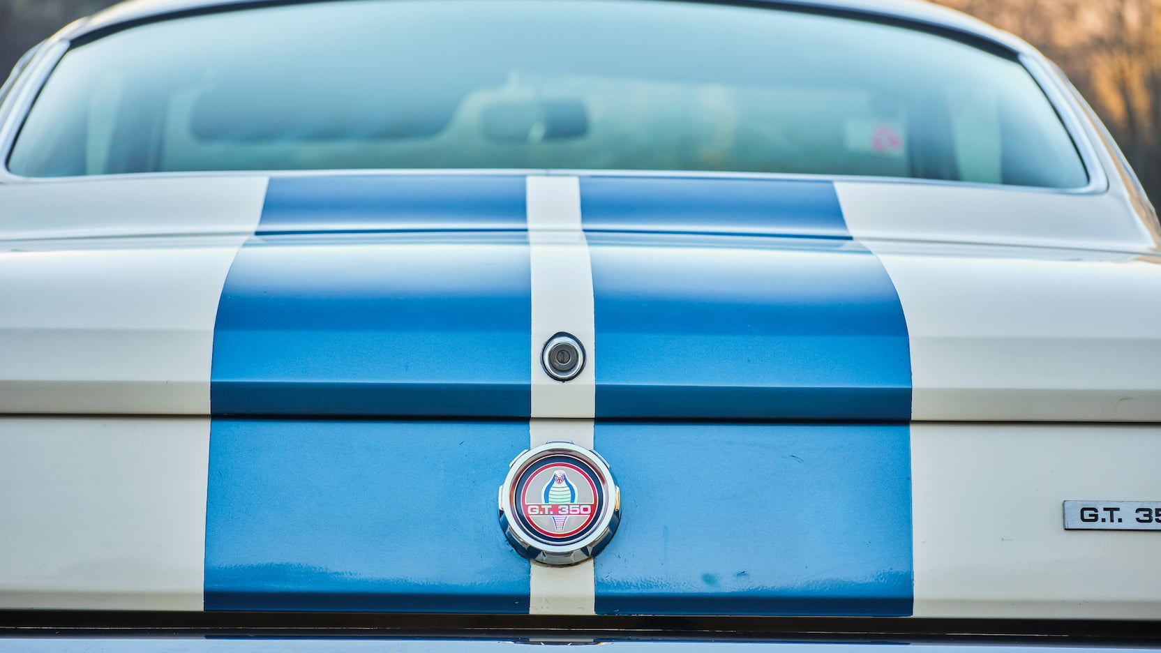 Injury Forces Original Owner To Sell 1966 Mustang Shelby GT350 At Auction