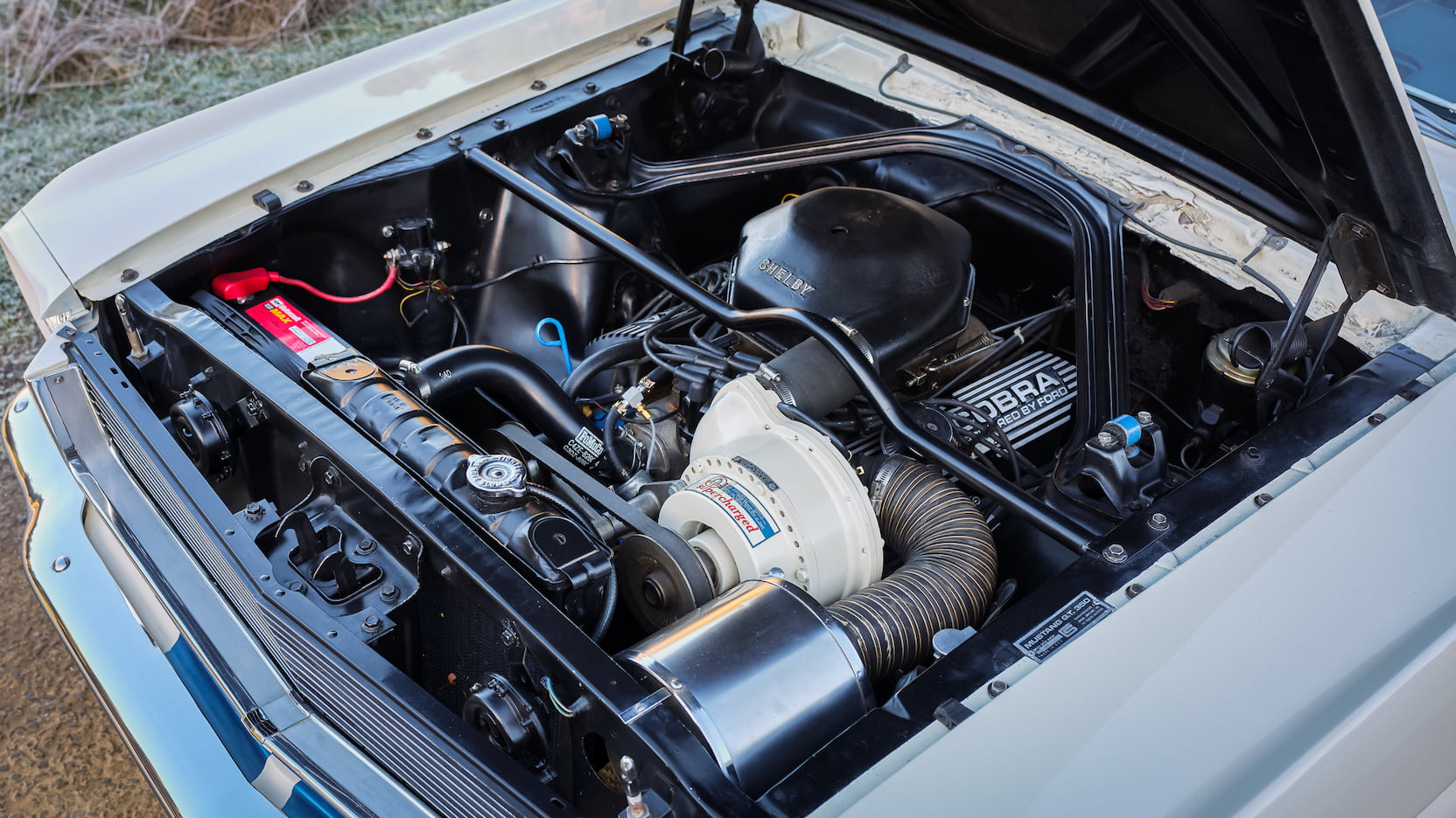 Injury Forces Original Owner To Sell 1966 Mustang Shelby GT350 At Auction