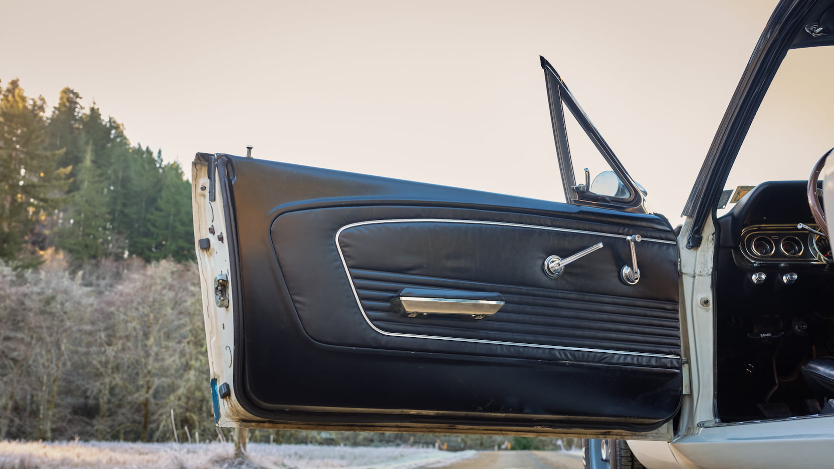 Injury Forces Original Owner To Sell 1966 Mustang Shelby GT350 At Auction