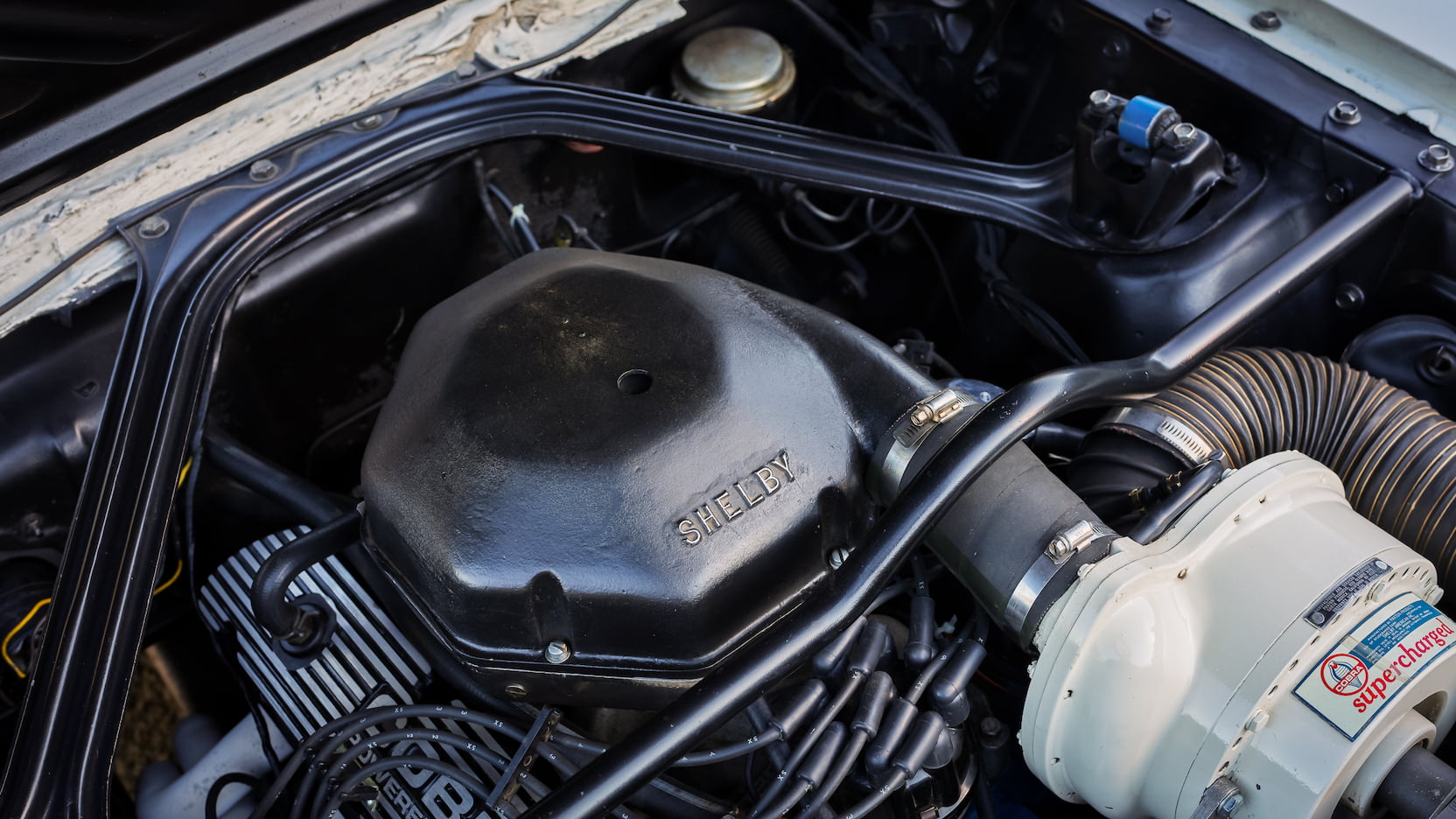 Injury Forces Original Owner To Sell 1966 Mustang Shelby GT350 At Auction