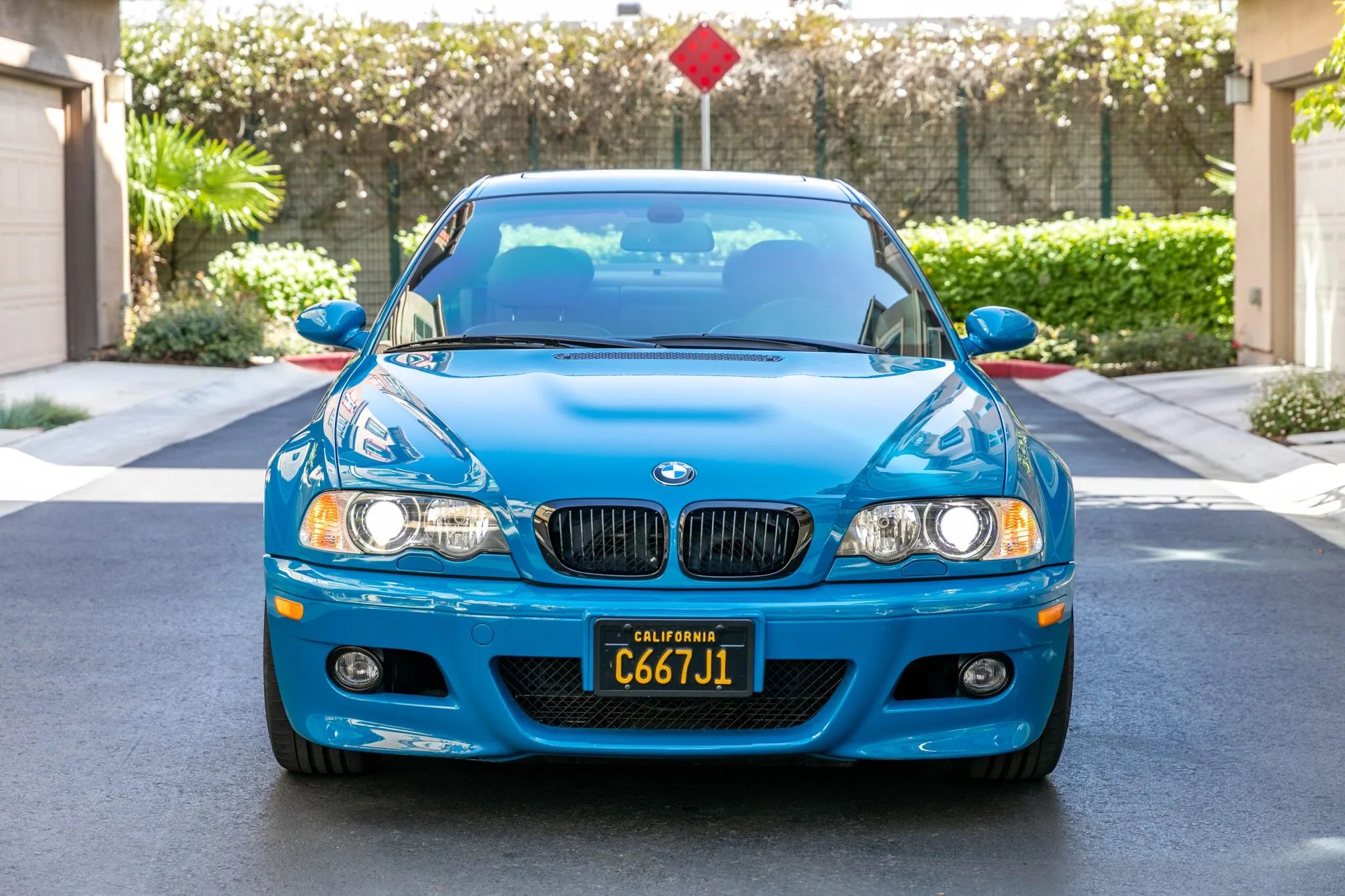 Have You Ever Seen A BMW E46 M3 That Looks As Nice As This?