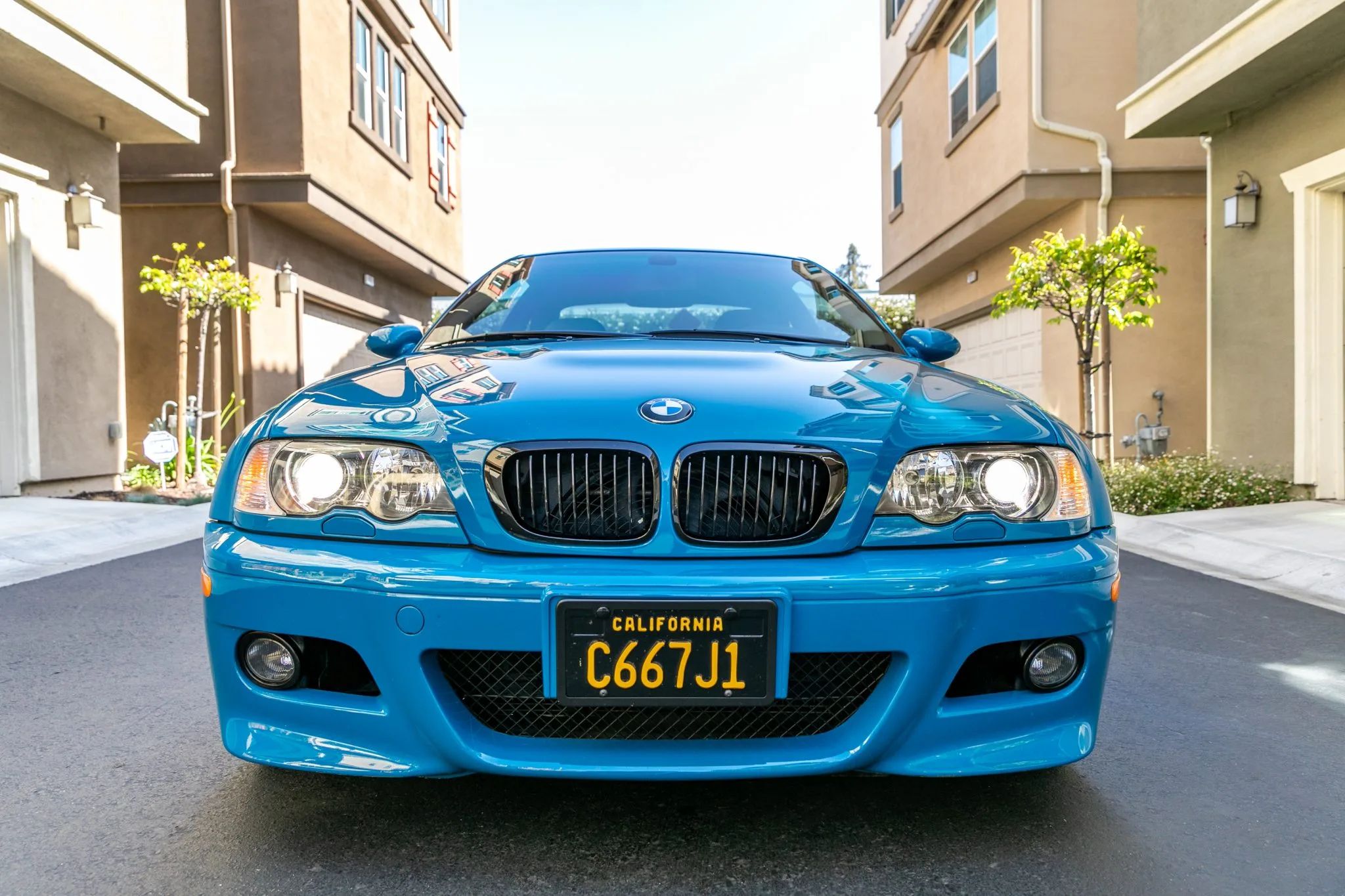 Have You Ever Seen A BMW E46 M3 That Looks As Nice As This?