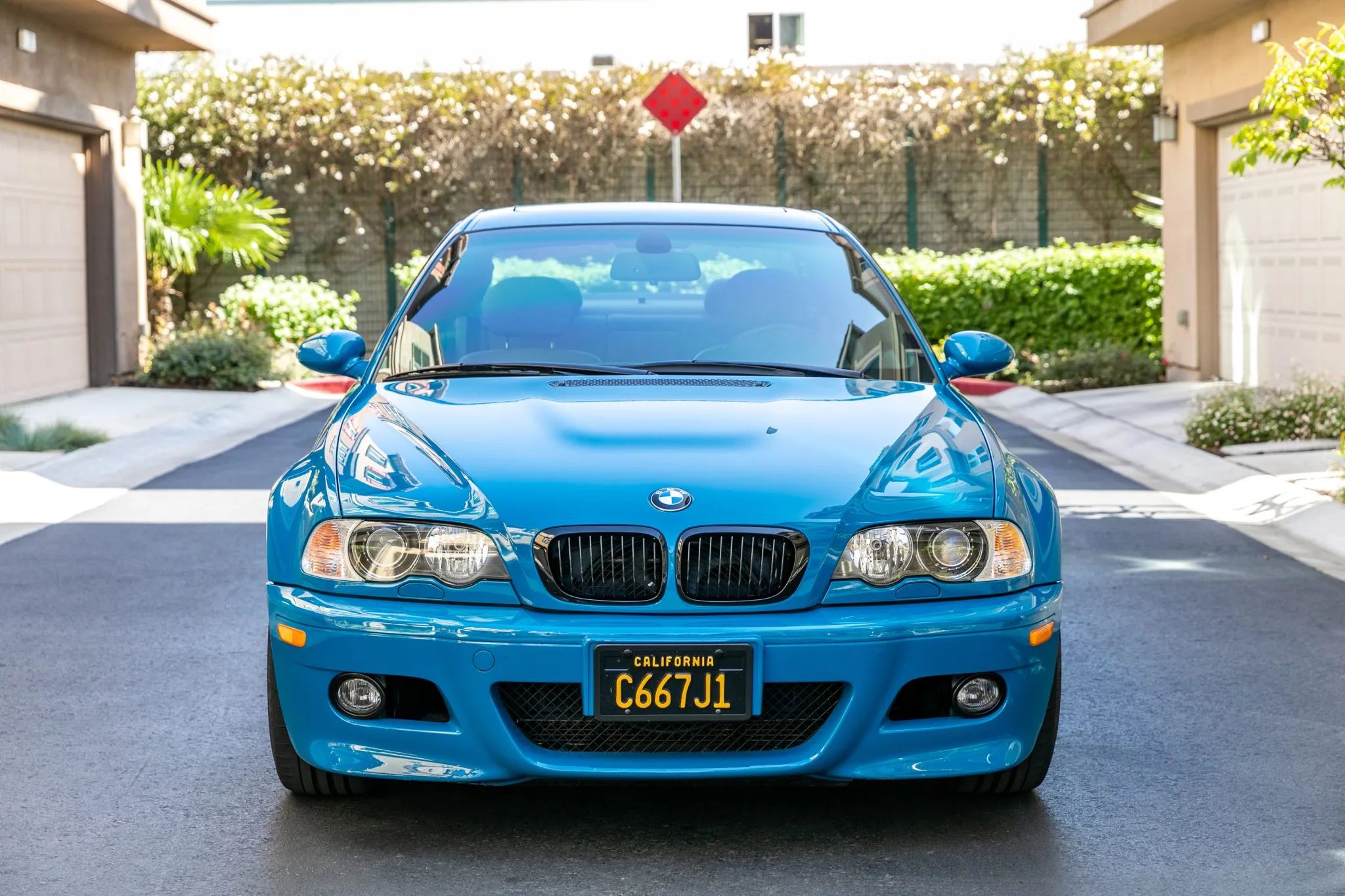 Have You Ever Seen A BMW E46 M3 That Looks As Nice As This?