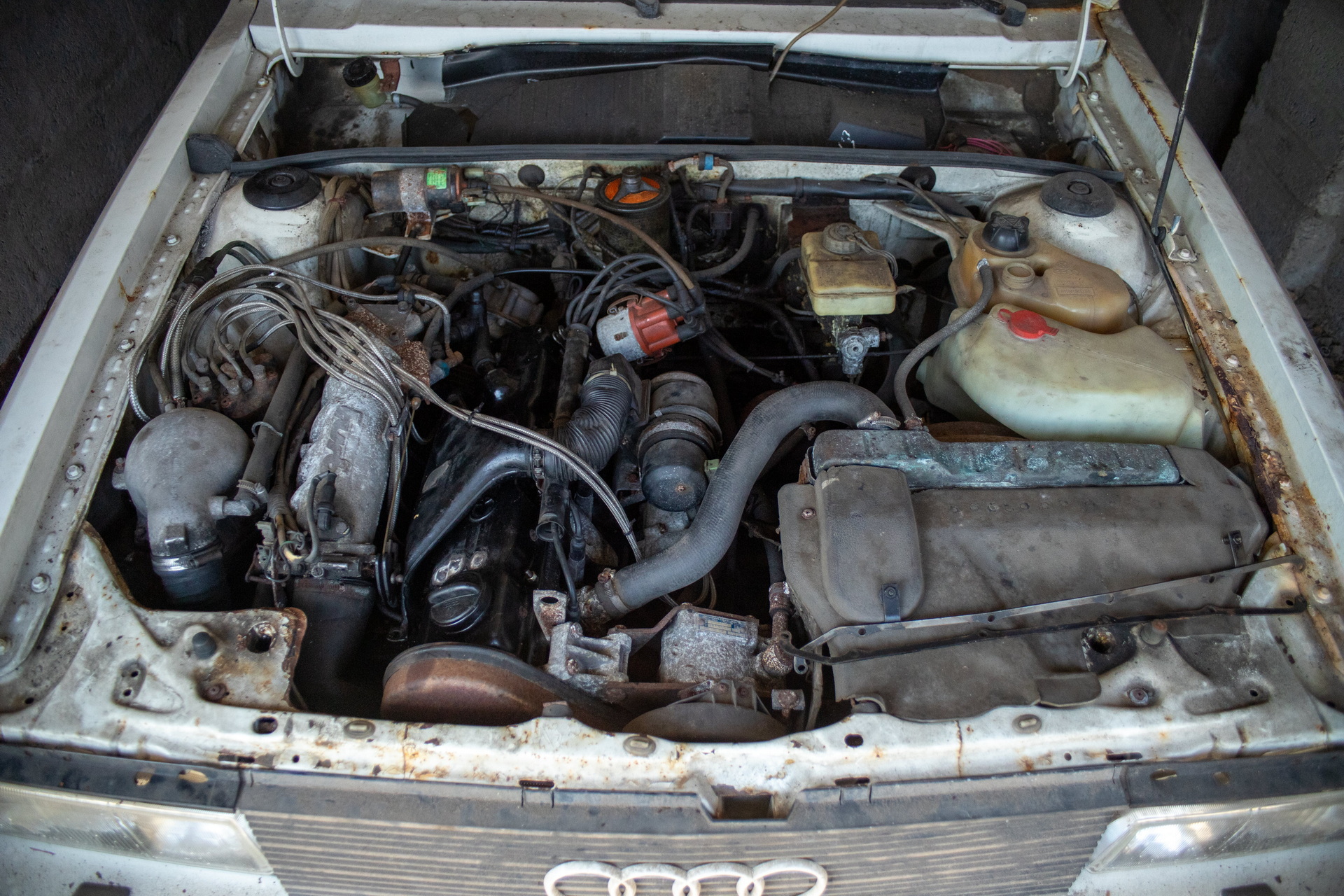 Someone Left A 1982 Audi Quattro Turbo To Rot In A Barn For Nearly 30 Years