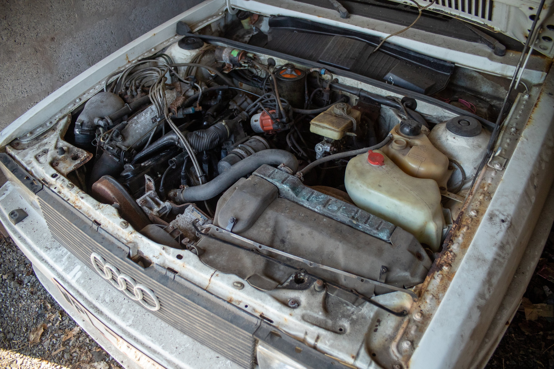 Someone Left A 1982 Audi Quattro Turbo To Rot In A Barn For Nearly 30 Years