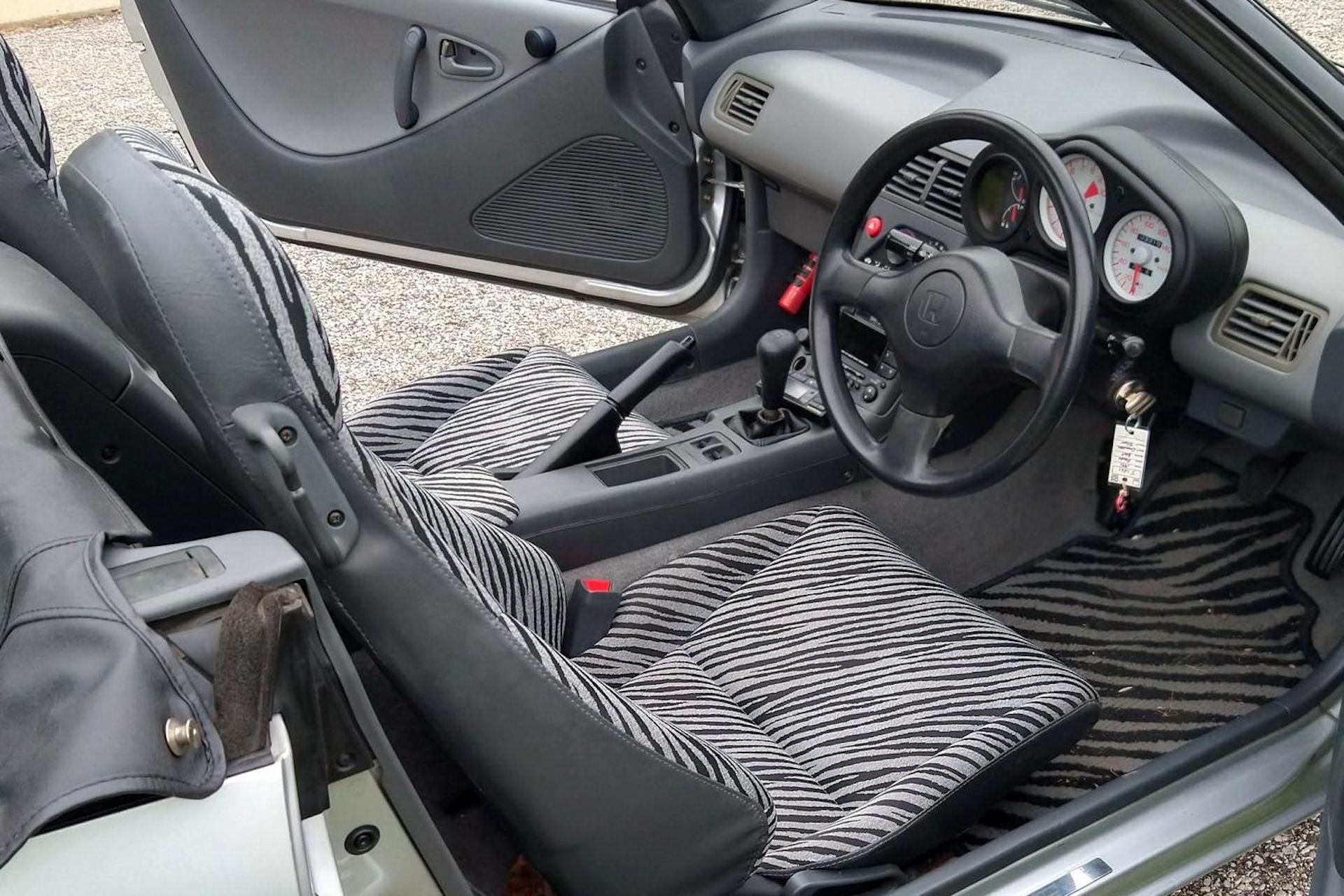 Are You Animal Enough To Take On The 653cc Honda Beat?