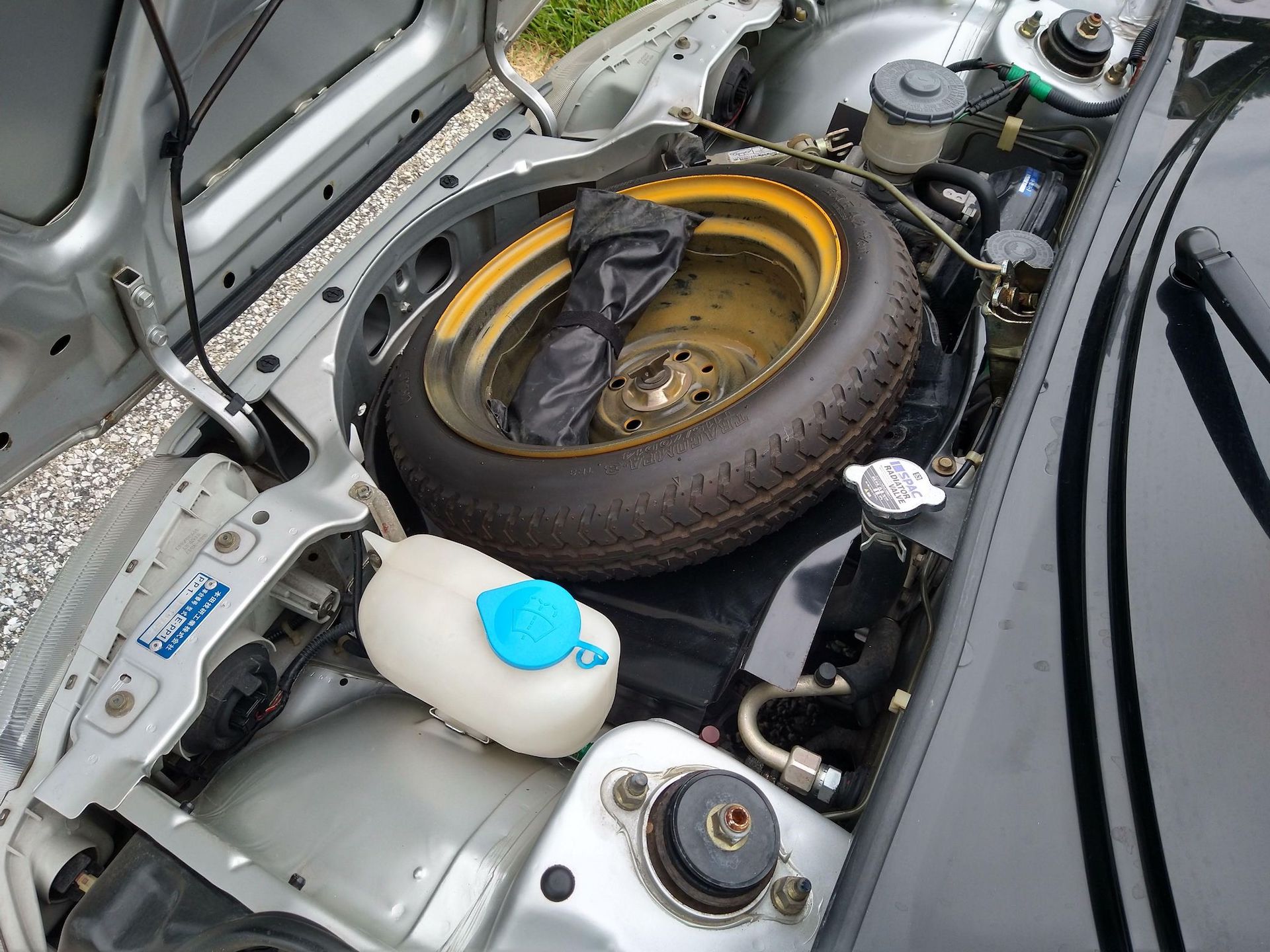 Are You Animal Enough To Take On The 653cc Honda Beat?