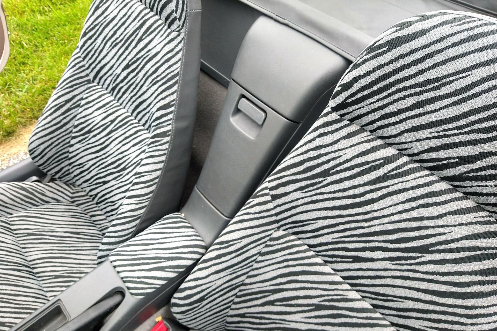 Are You Animal Enough To Take On The 653cc Honda Beat?