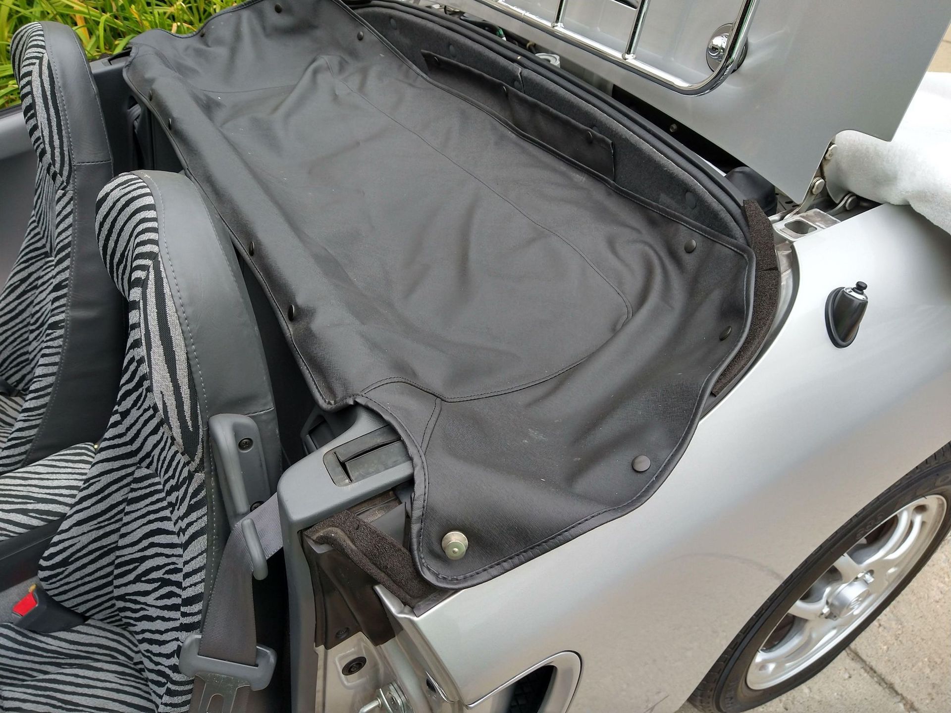 Are You Animal Enough To Take On The 653cc Honda Beat?