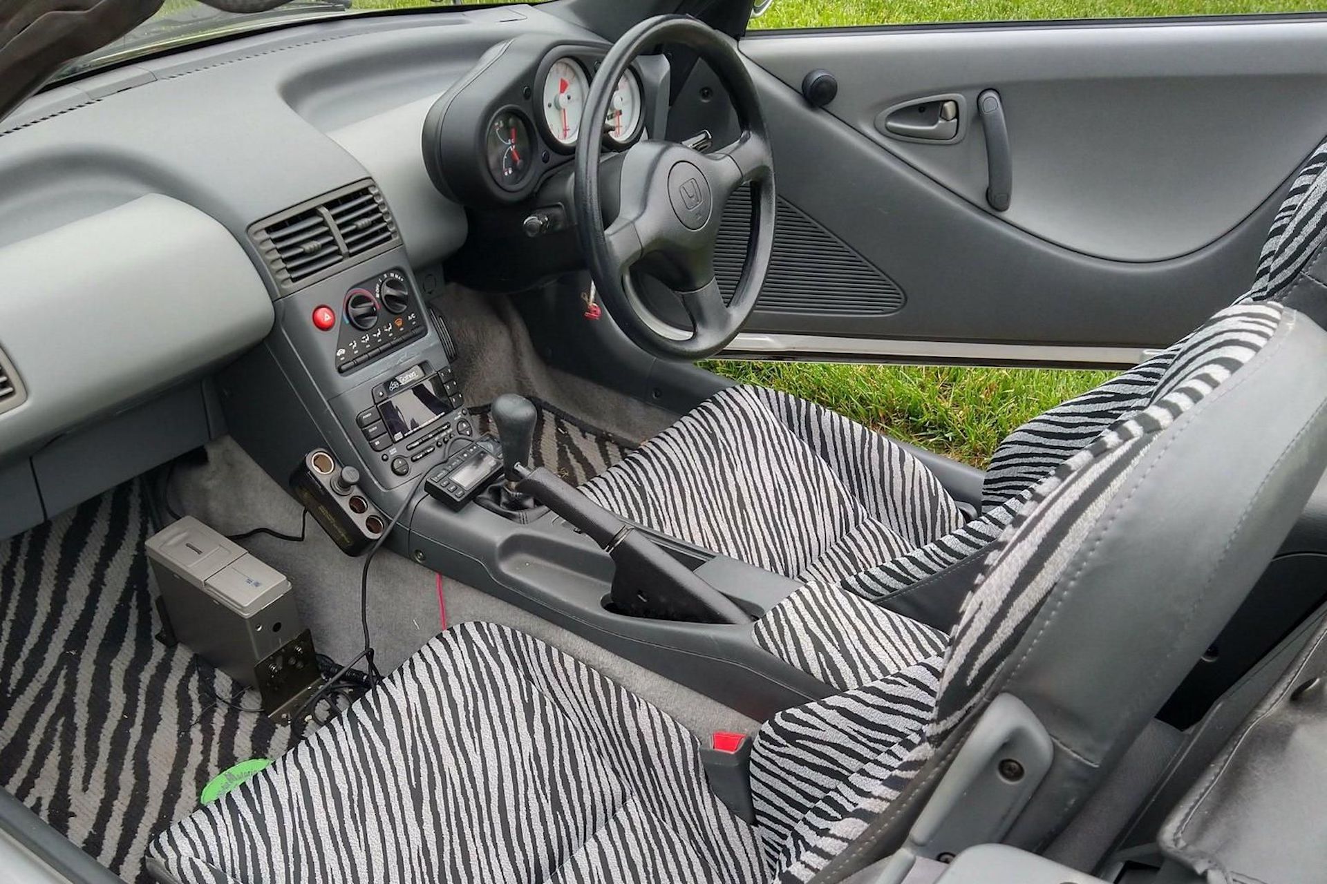 Are You Animal Enough To Take On The 653cc Honda Beat?