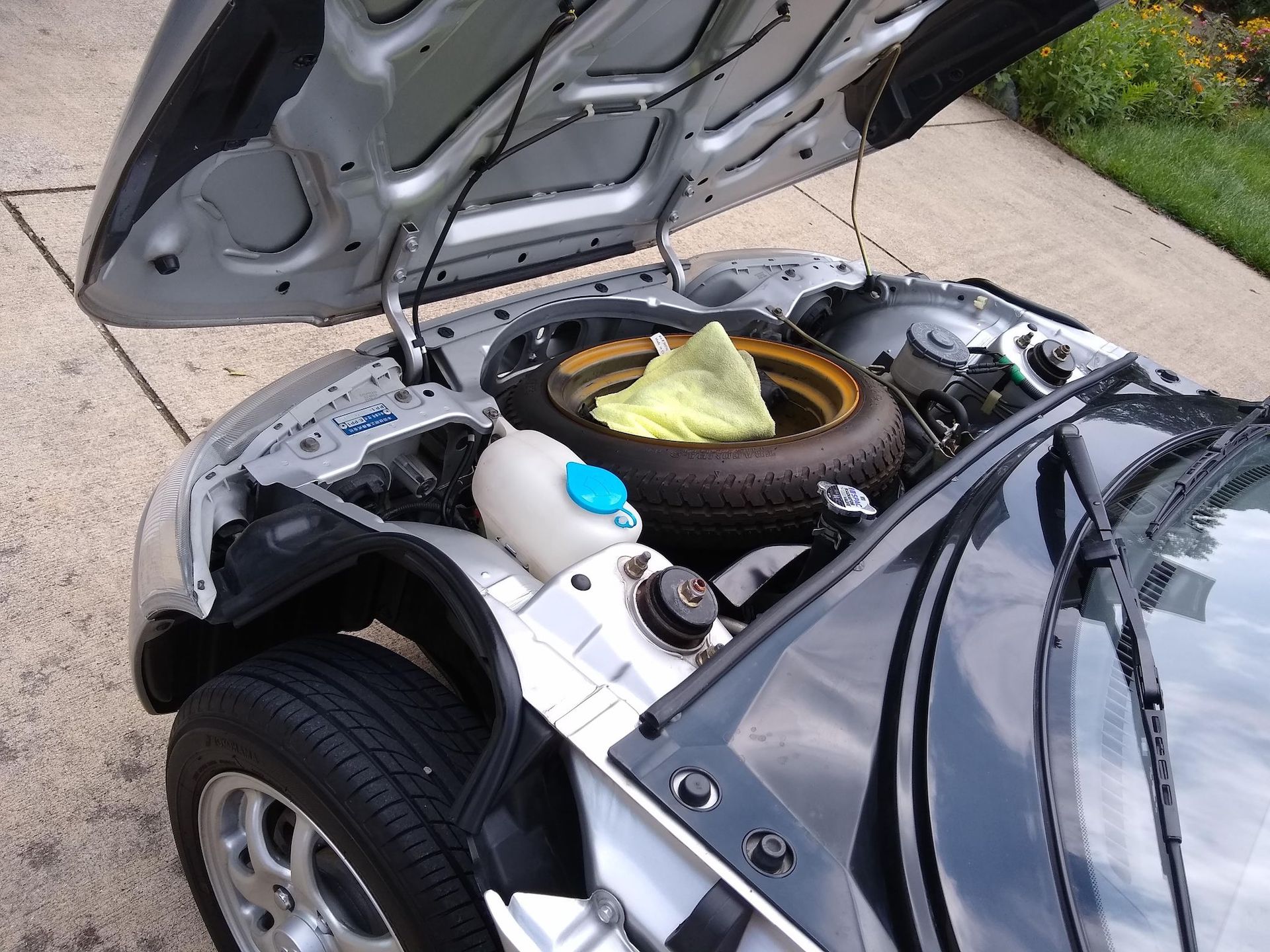 Are You Animal Enough To Take On The 653cc Honda Beat?