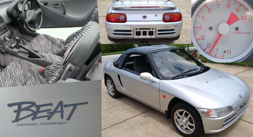  Are You Animal Enough To Take On The 653cc Honda Beat?