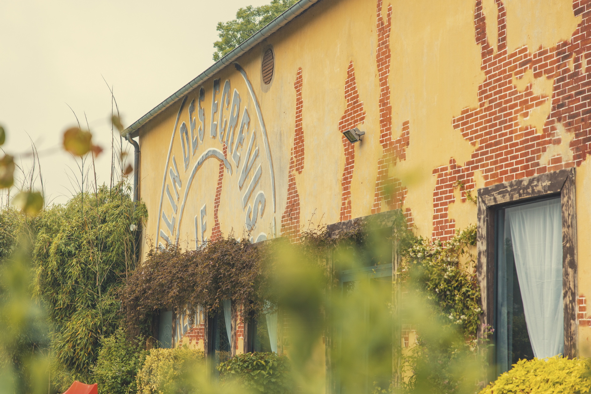 Owners Of Jaguar E-Type 60 Collection Edition Tributes Treated To Historic And Luxurious Geneva Drive