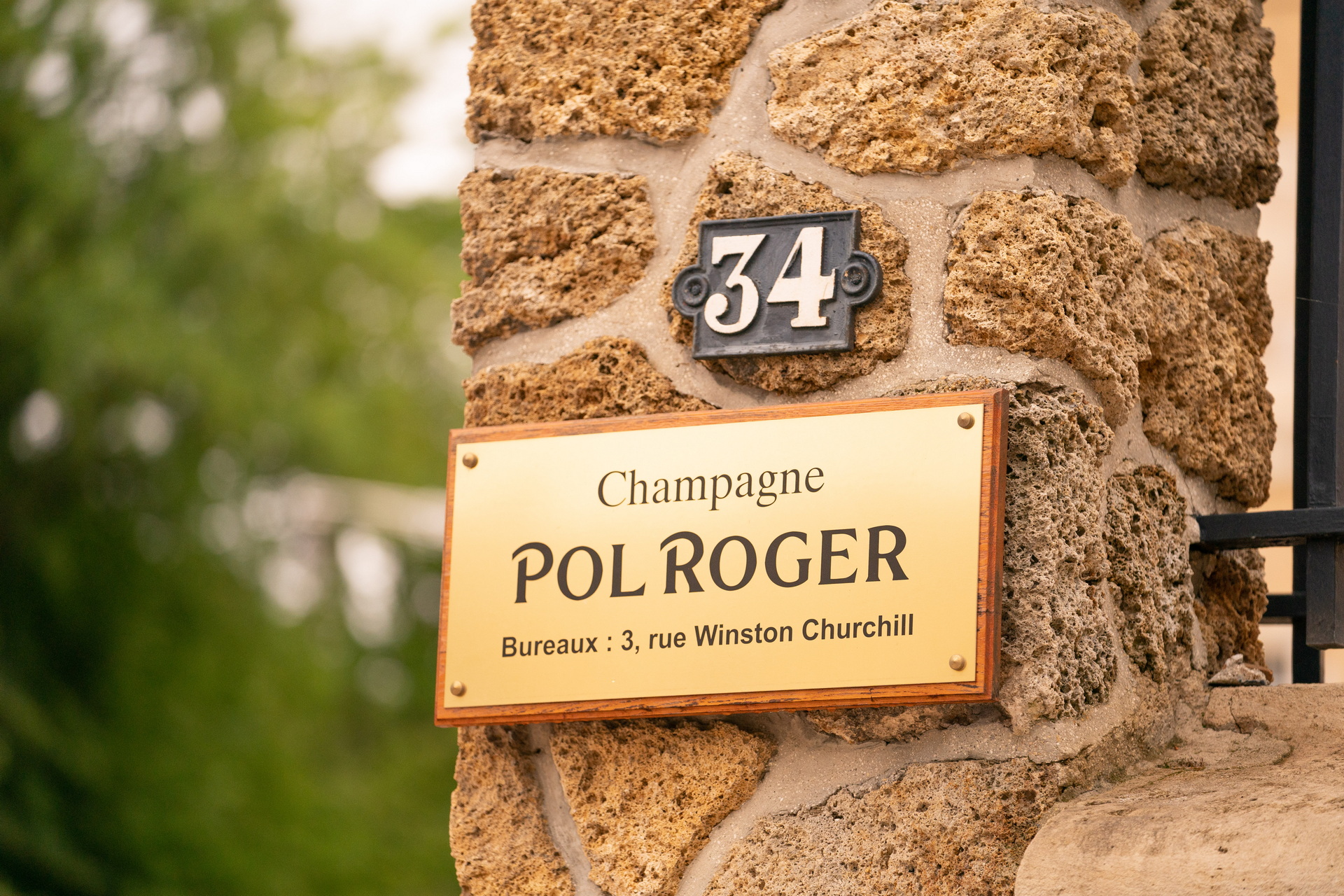 Owners Of Jaguar E-Type 60 Collection Edition Tributes Treated To Historic And Luxurious Geneva Drive