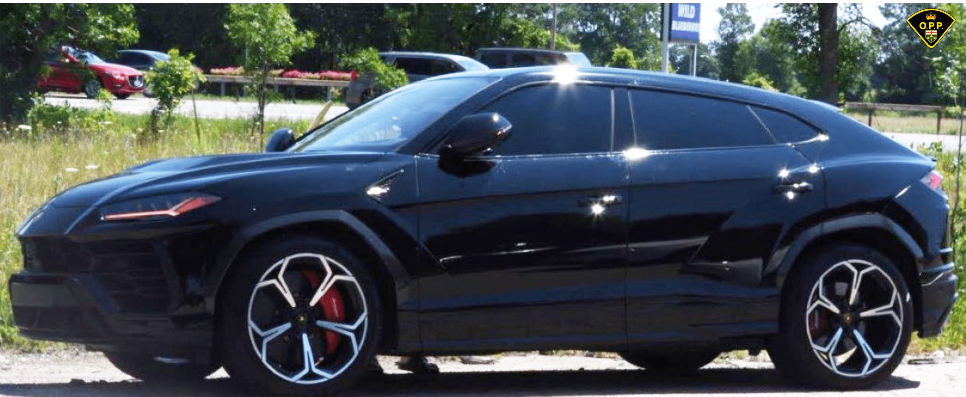 Toronto Police Bust Auto Theft Ring, Recover 214 Vehicles Worth An Estimated $9 Million