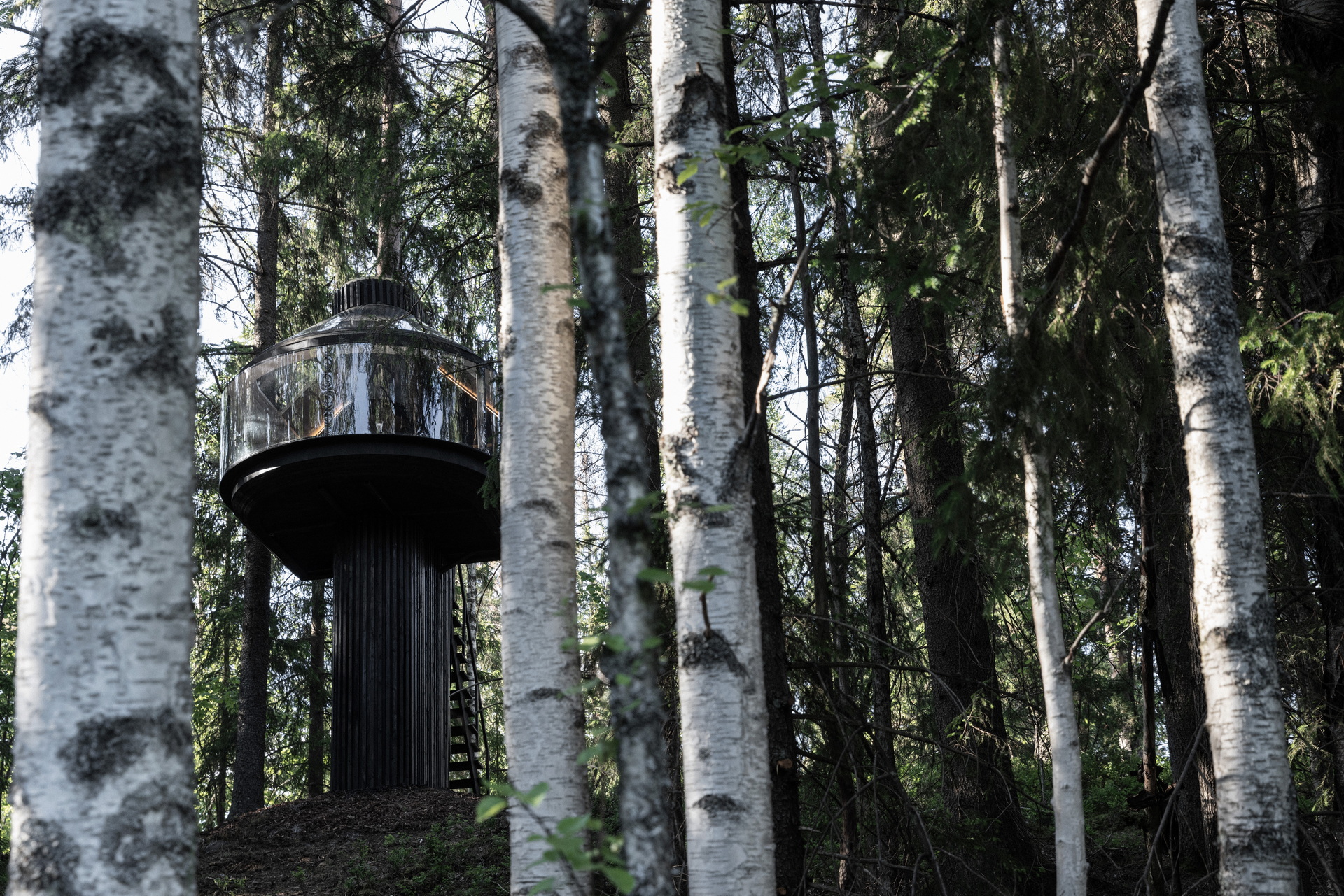 Polestar Actually Made The Sustainable Tree House Proposed In Its 2021 Design Contest