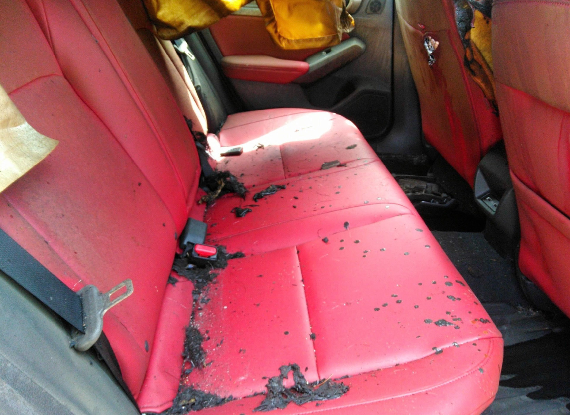 These Are (Likely) The First Crashed 2023 Acura Integras