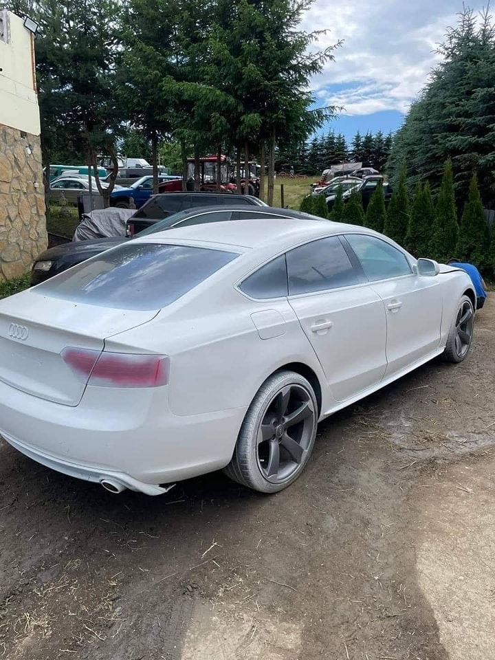 A Toddler Could Probably Give This Audi A5 A Better Paint Job