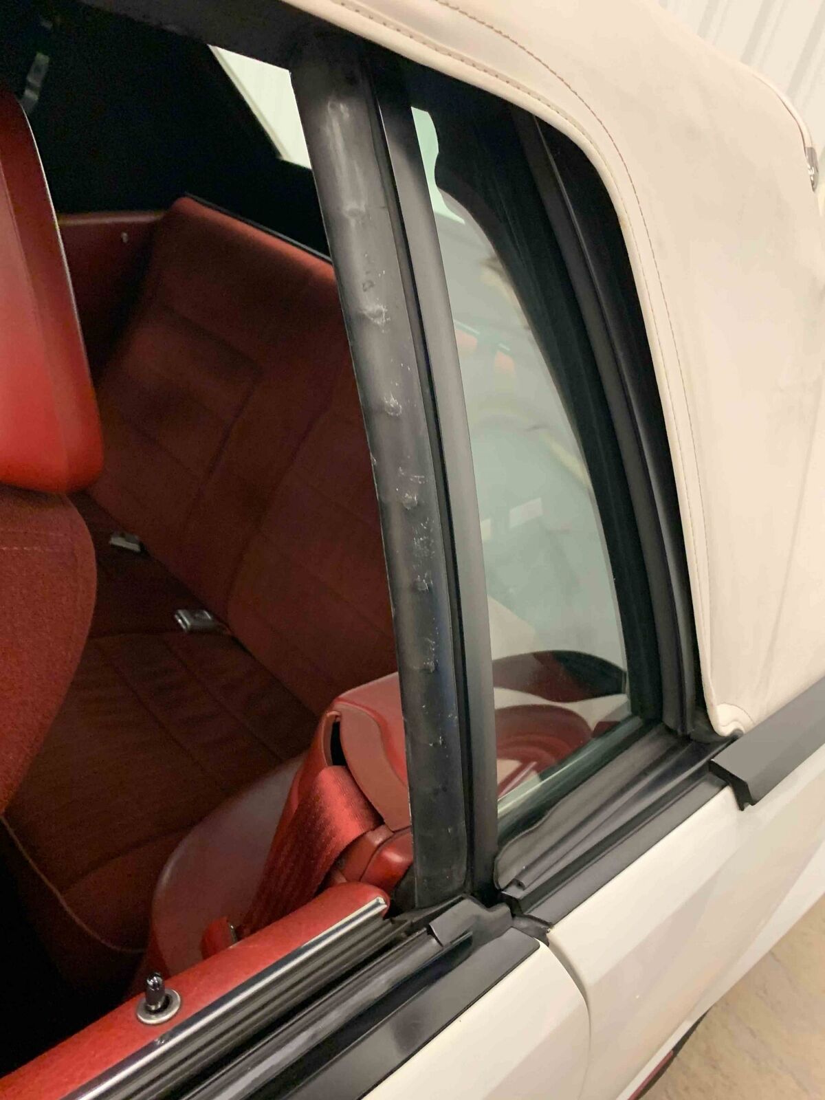 Oxford White Ford Mustang Is The GT350 You Didn’t Know About