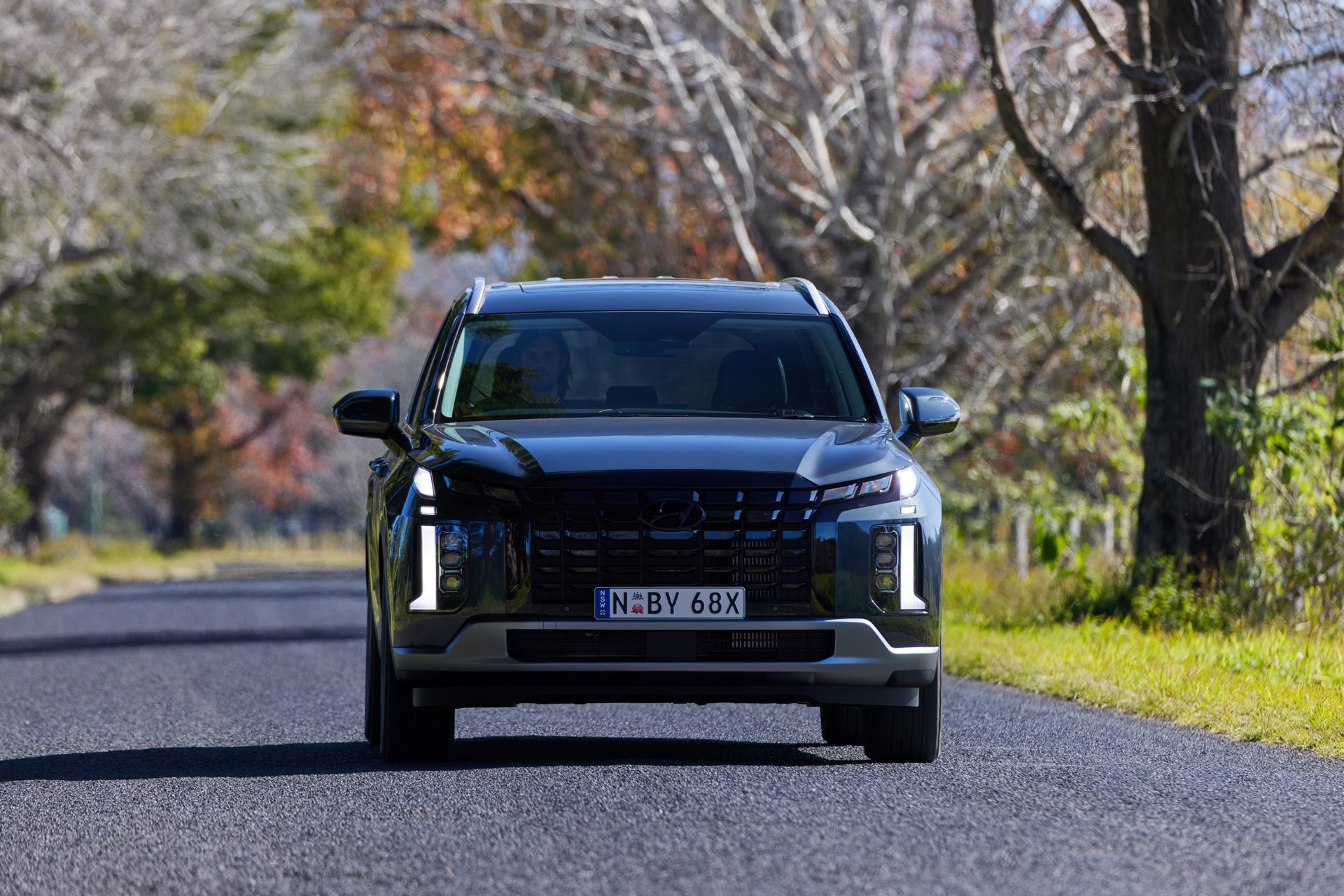 2023 Hyundai Palisade Arrives In Australia With Bluelink Services