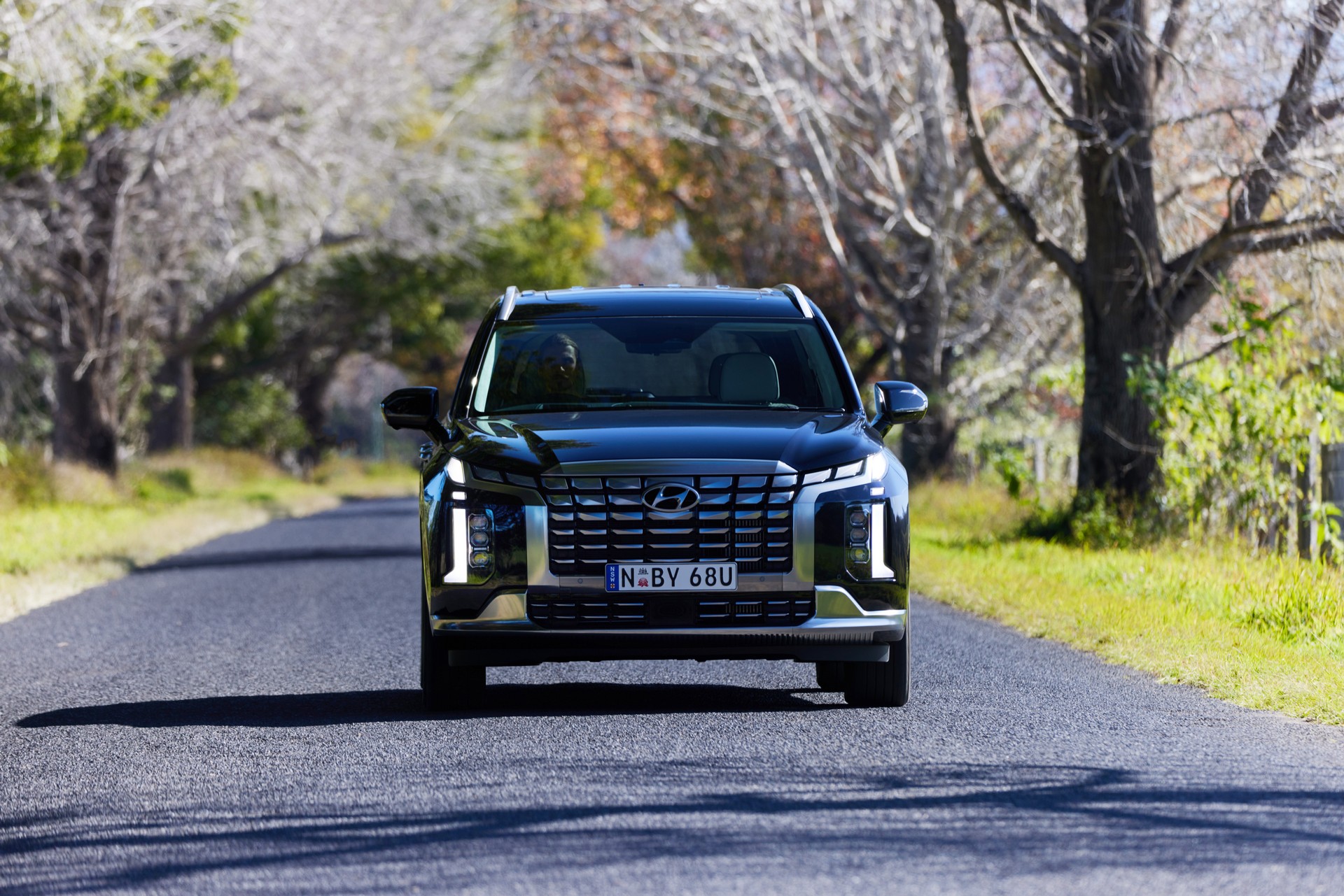 2023 Hyundai Palisade Arrives In Australia With Bluelink Services