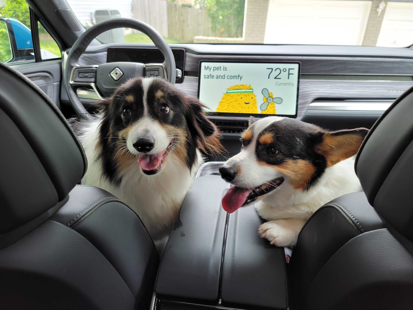 Rivian Adds Tesla-Like Pet Comfort Mode To Keep Dogs Safe This Summer