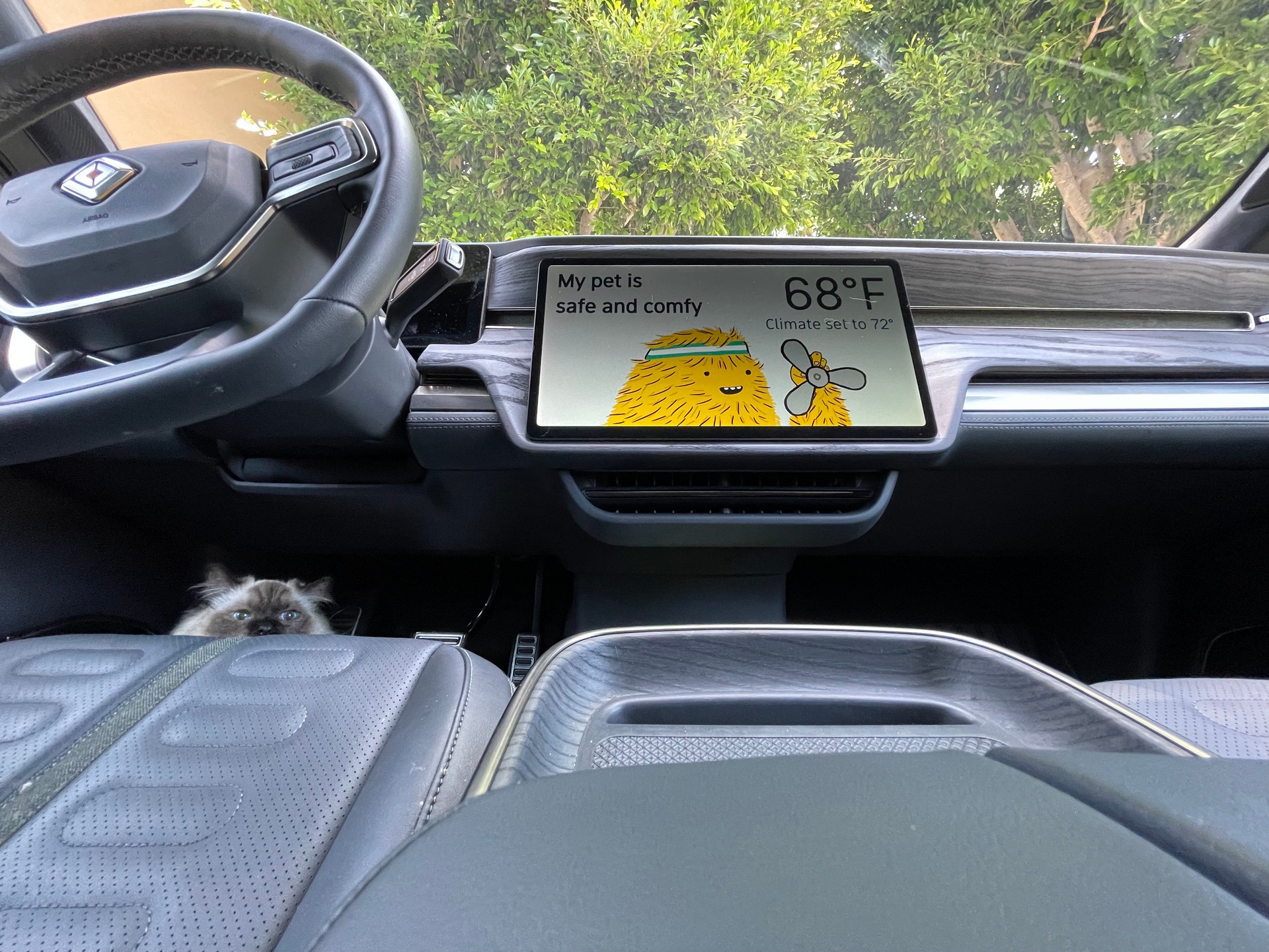 Rivian Adds Tesla-Like Pet Comfort Mode To Keep Dogs Safe This Summer