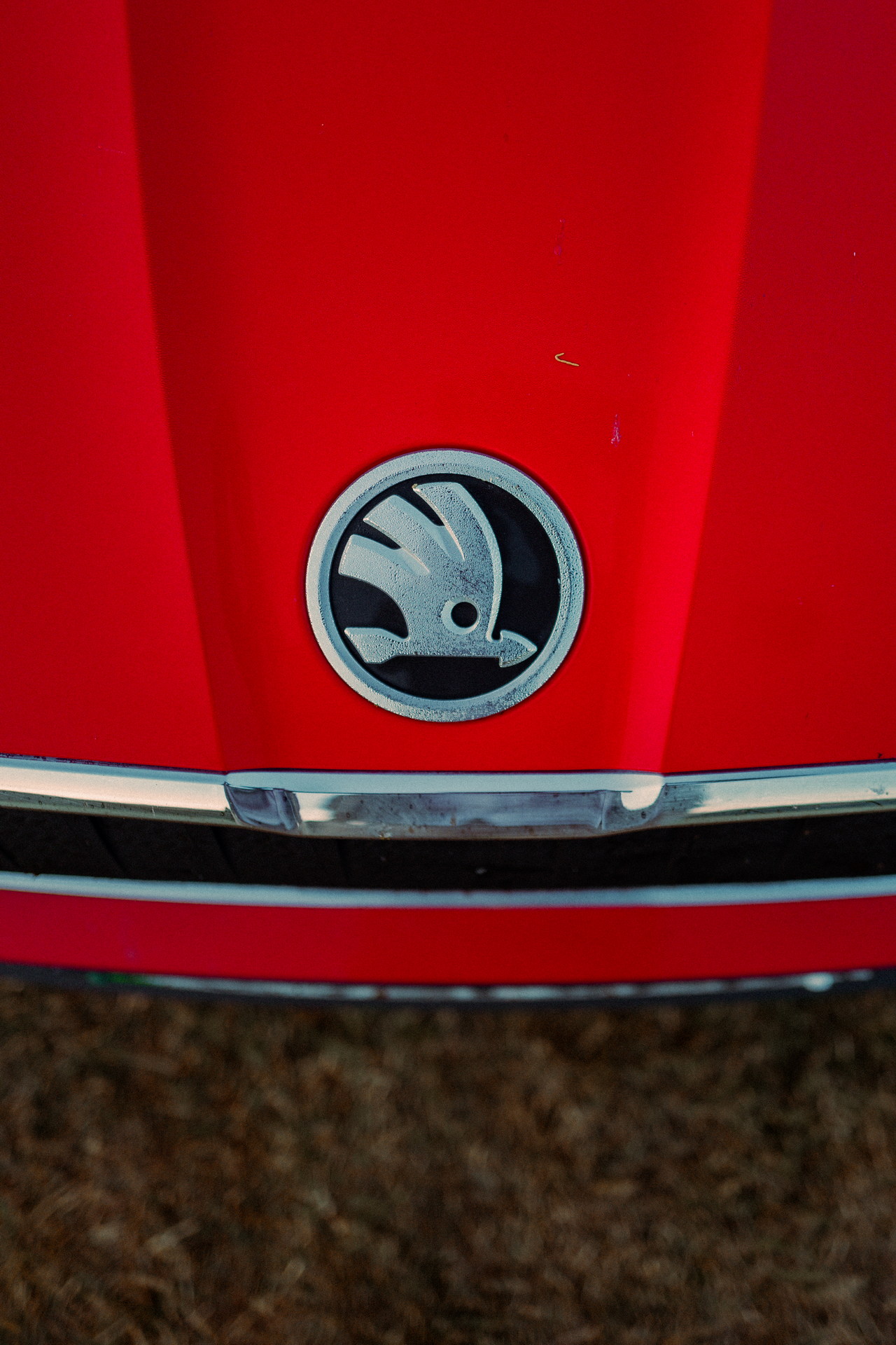 Skoda Turned The Enyaq iV 80 Into A FestEVal Camper That Can Sleep Up To Four