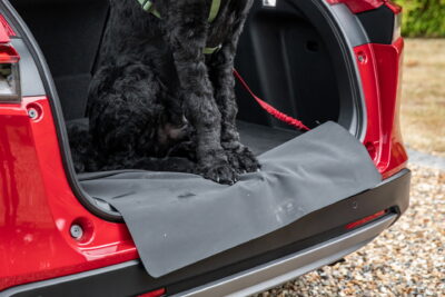 Inspired By An April Fools Post, Honda UK Offers Dog Accessories That ...