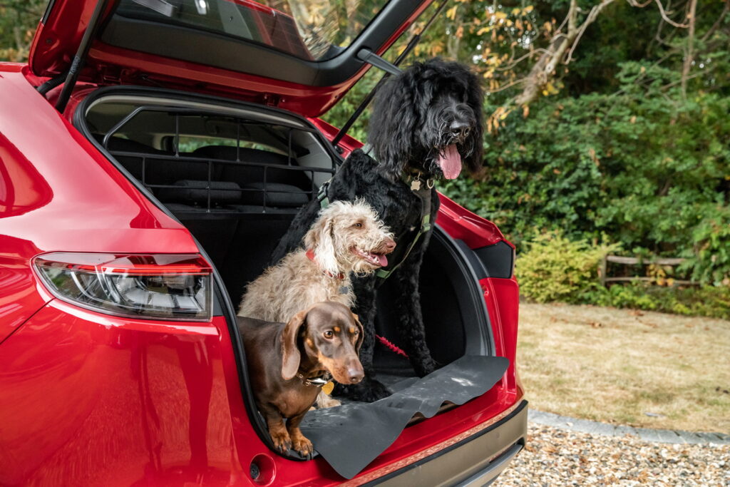 Honda Rottweilers Inspired By An April Fools Post, Honda UK Offers Dog Accessories That ...