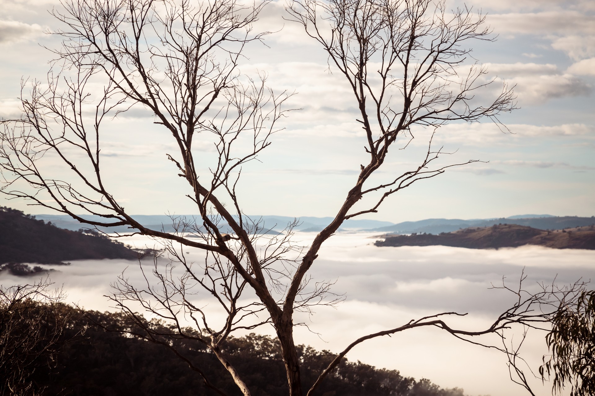2023 Nissan Z Makes A Special Appearance At Z Drive Event In Australia