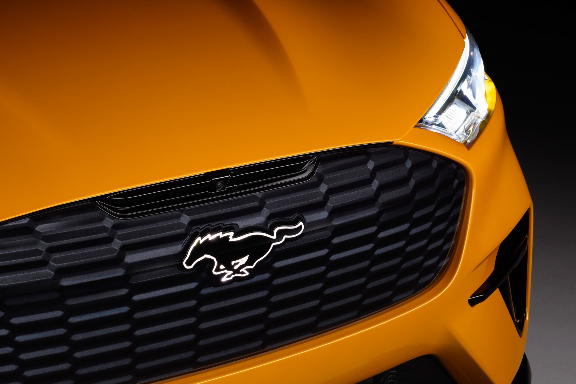 Ford Mustang And Mustang Mach-E Gain Nite Pony Packages As Seventh-Gen Hype Starts To Build