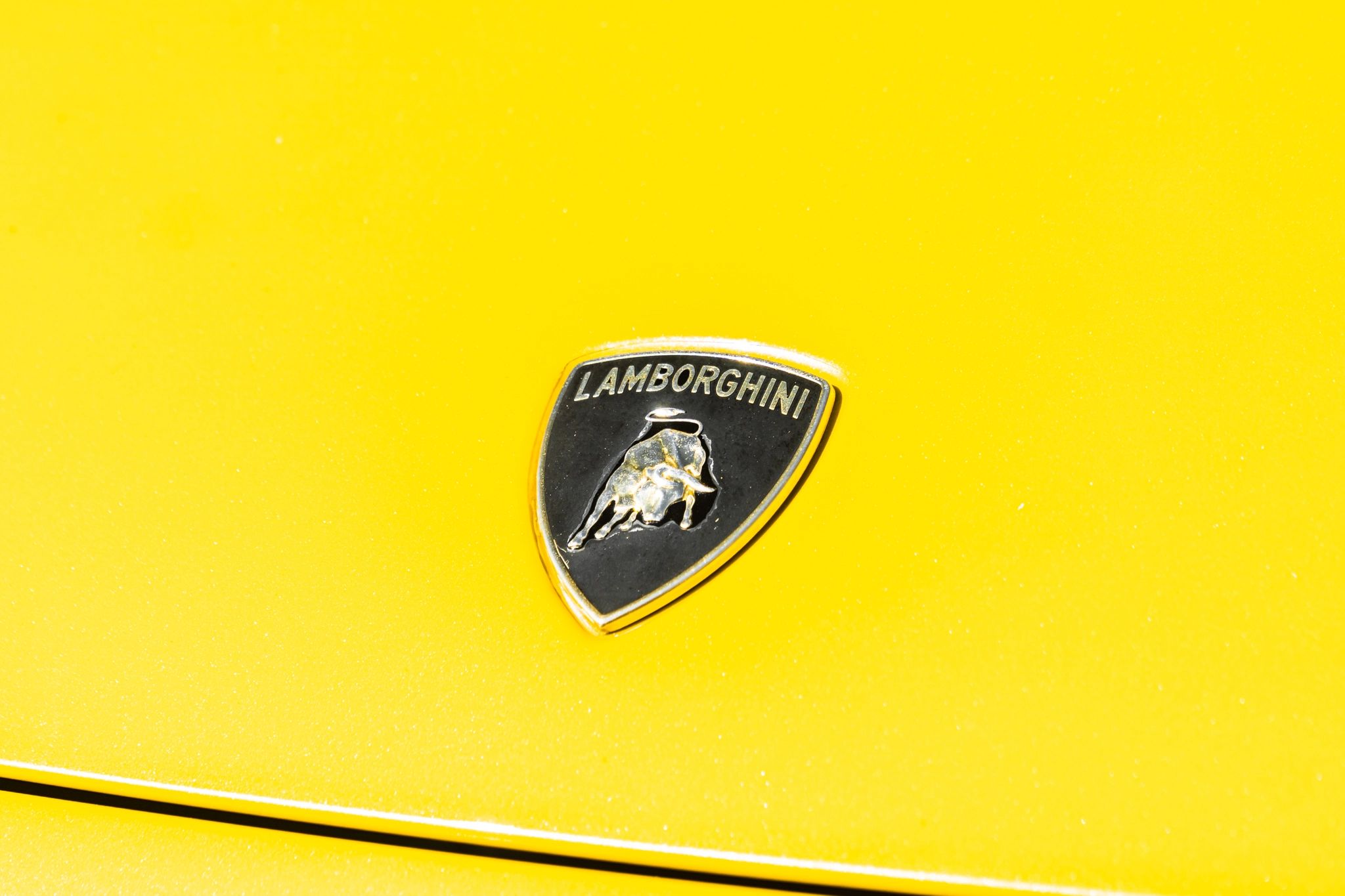 We’d Happily Sell A Kidney For This 2008 Lamborghini Gallardo Superleggera